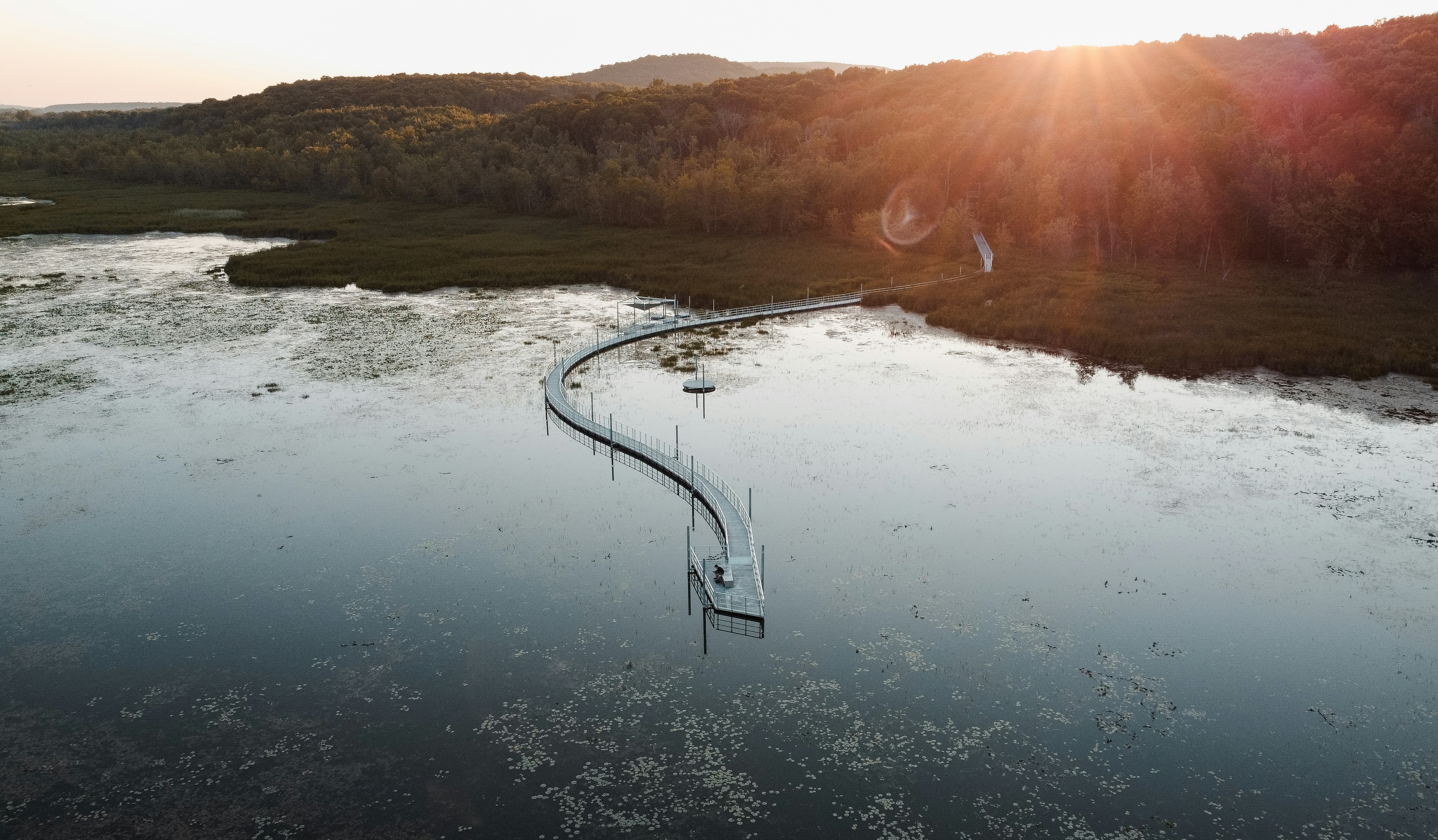 Winding boardwalk across a wetland at sunset
