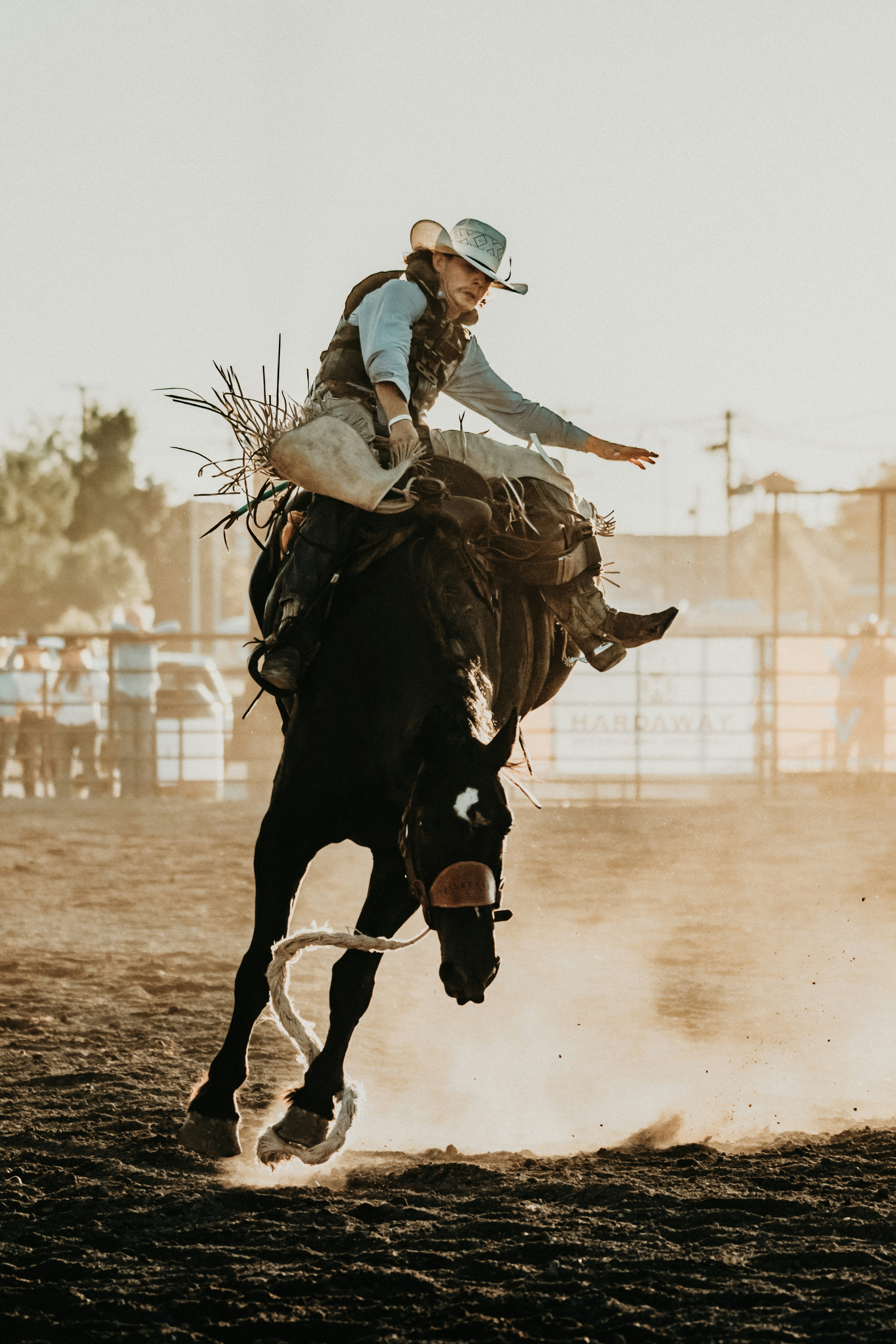 Cowboy rides bucking horse at bozeman rodeo