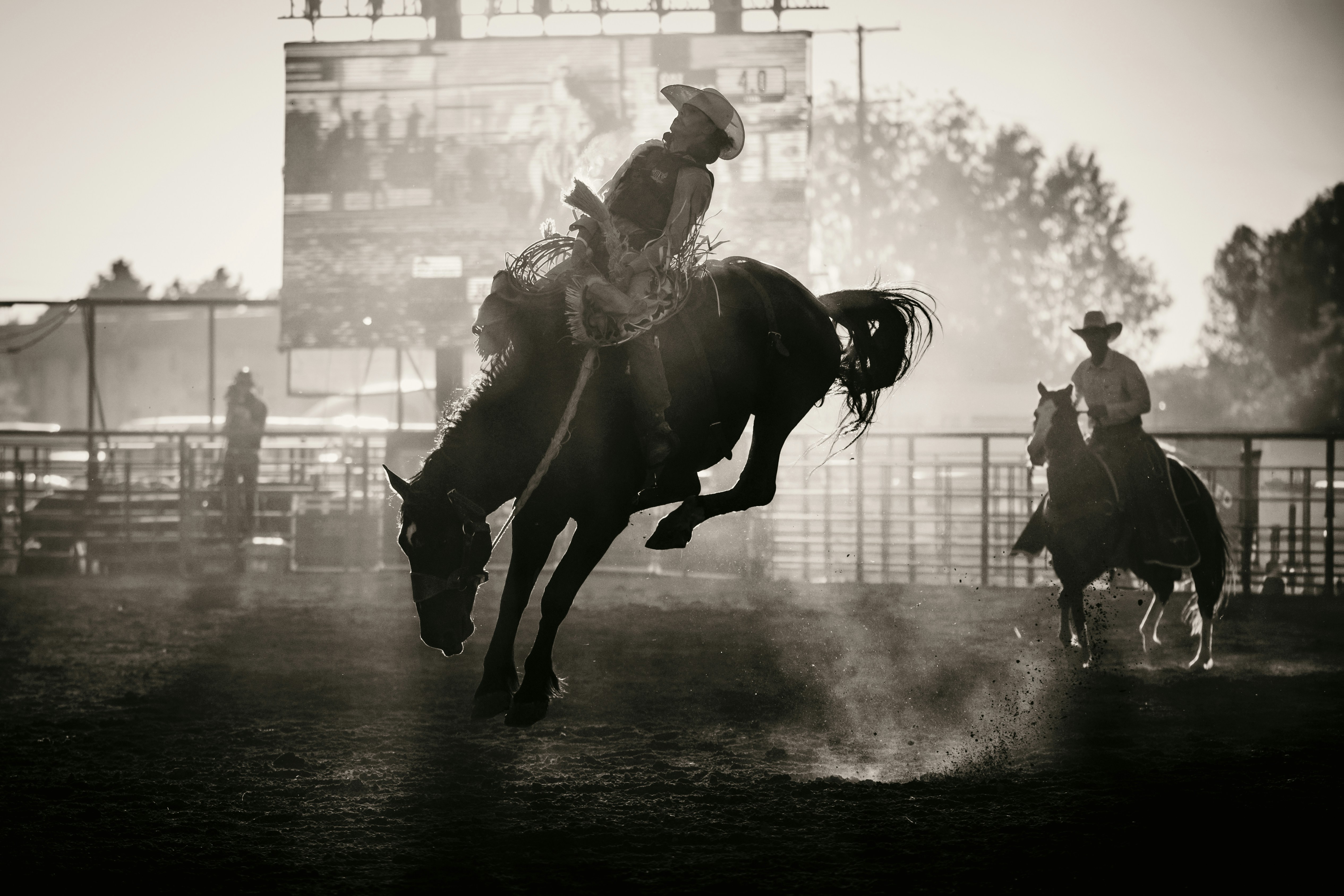 Rodeo cowboy on bucking horse kicking up dust