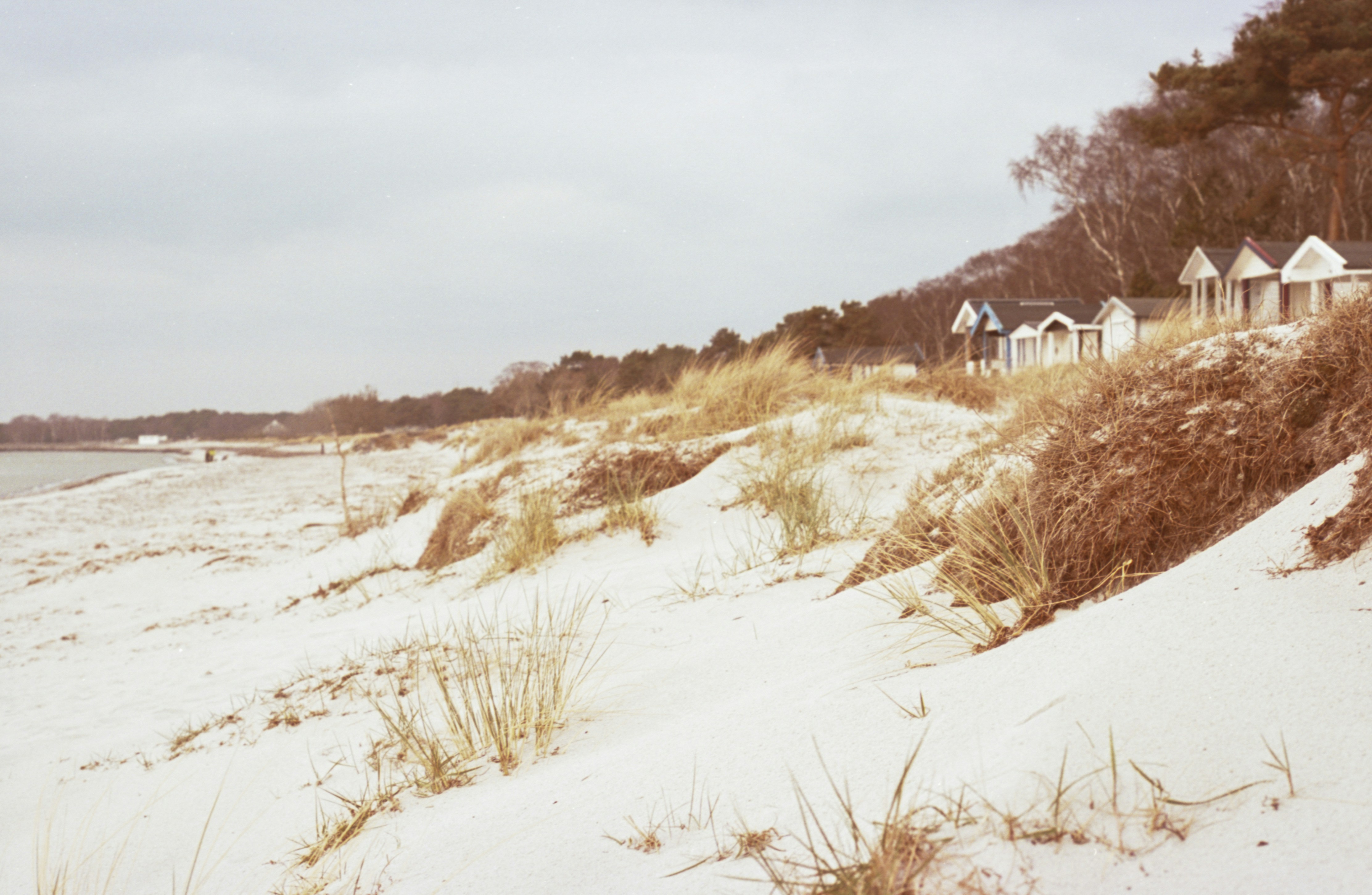 Sandy beach with dunes and small houses along the coastline.