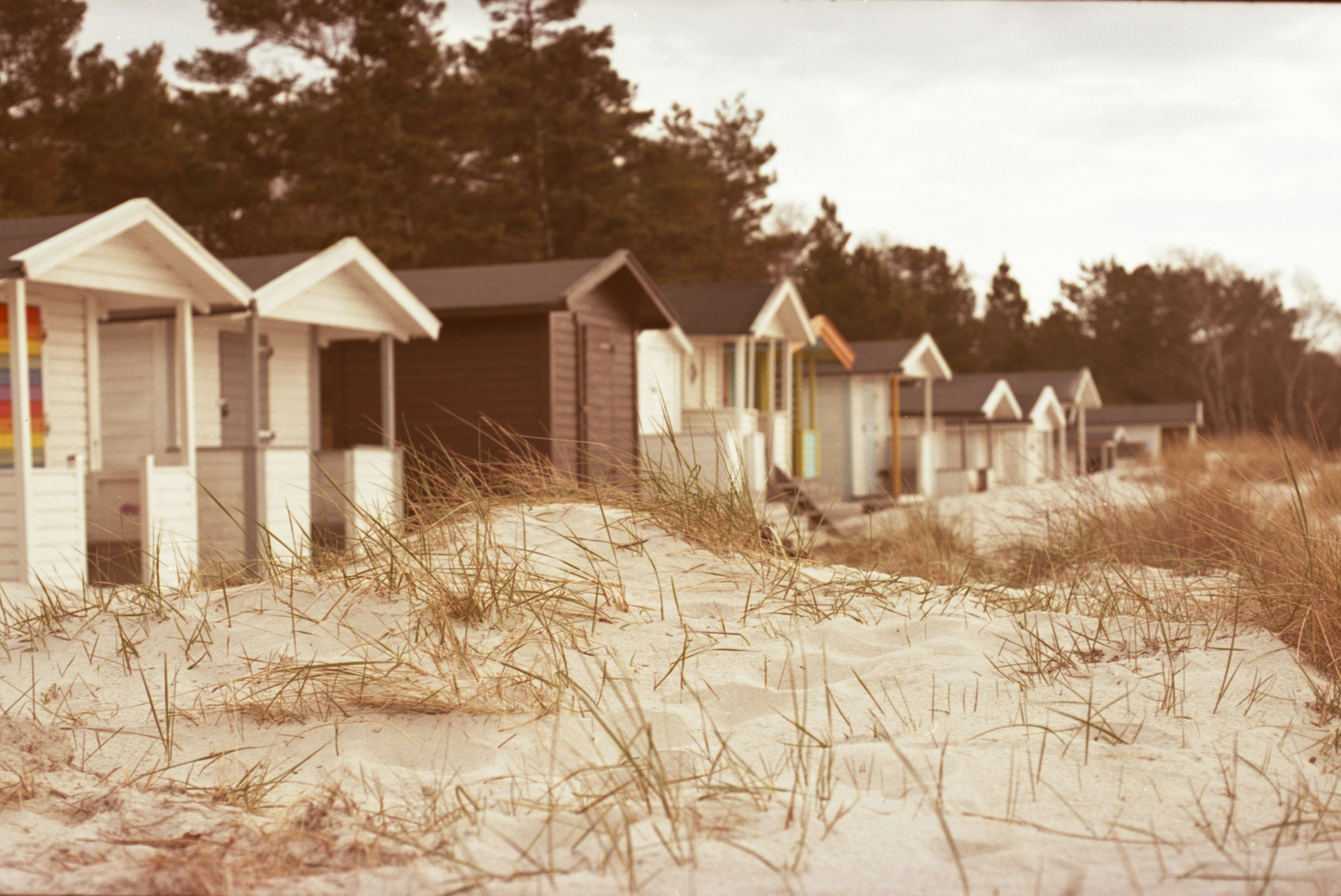Beach huts line sandy dunes with dry grass.