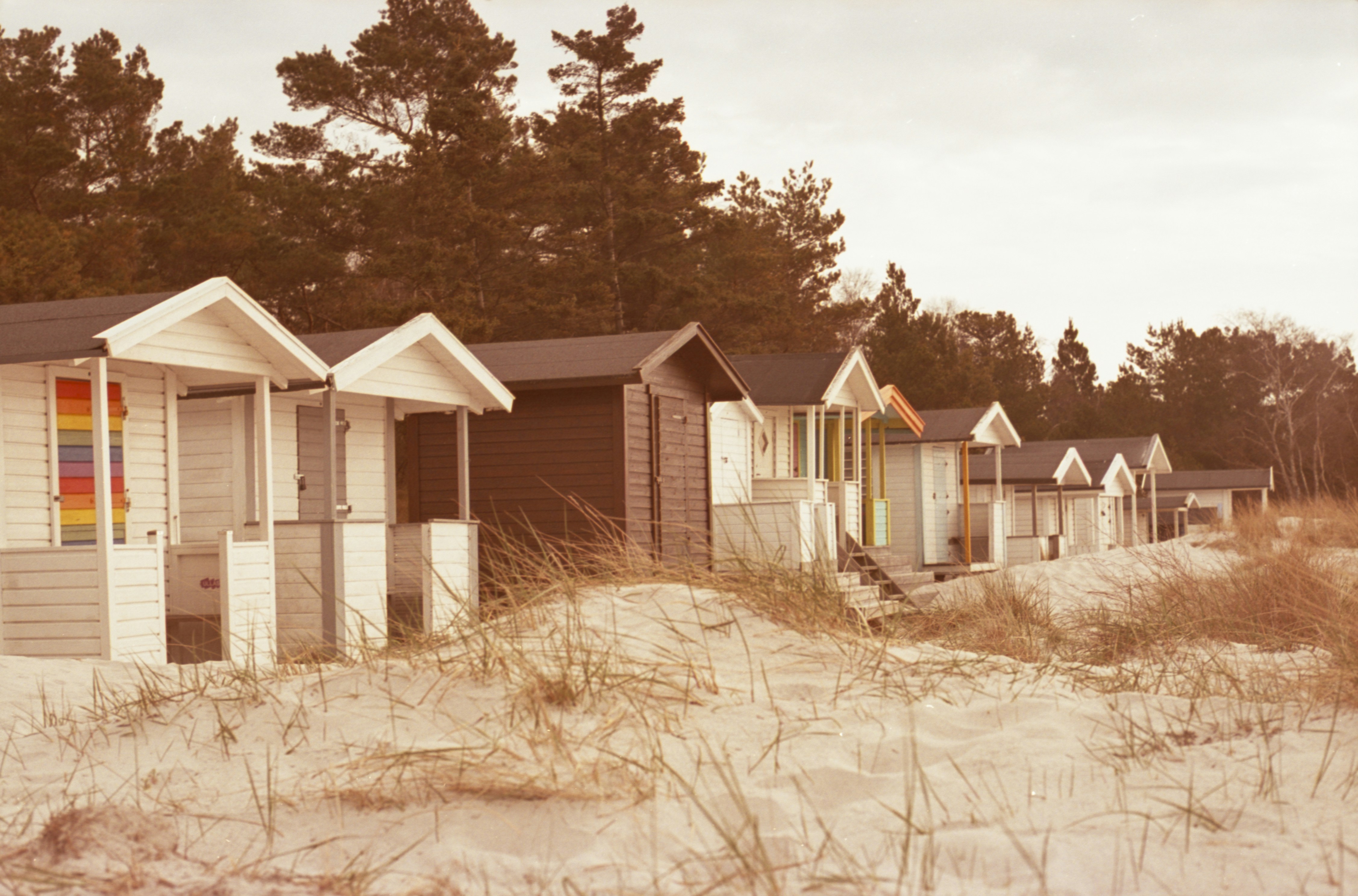 Row of beach huts on a sandy dune with trees.