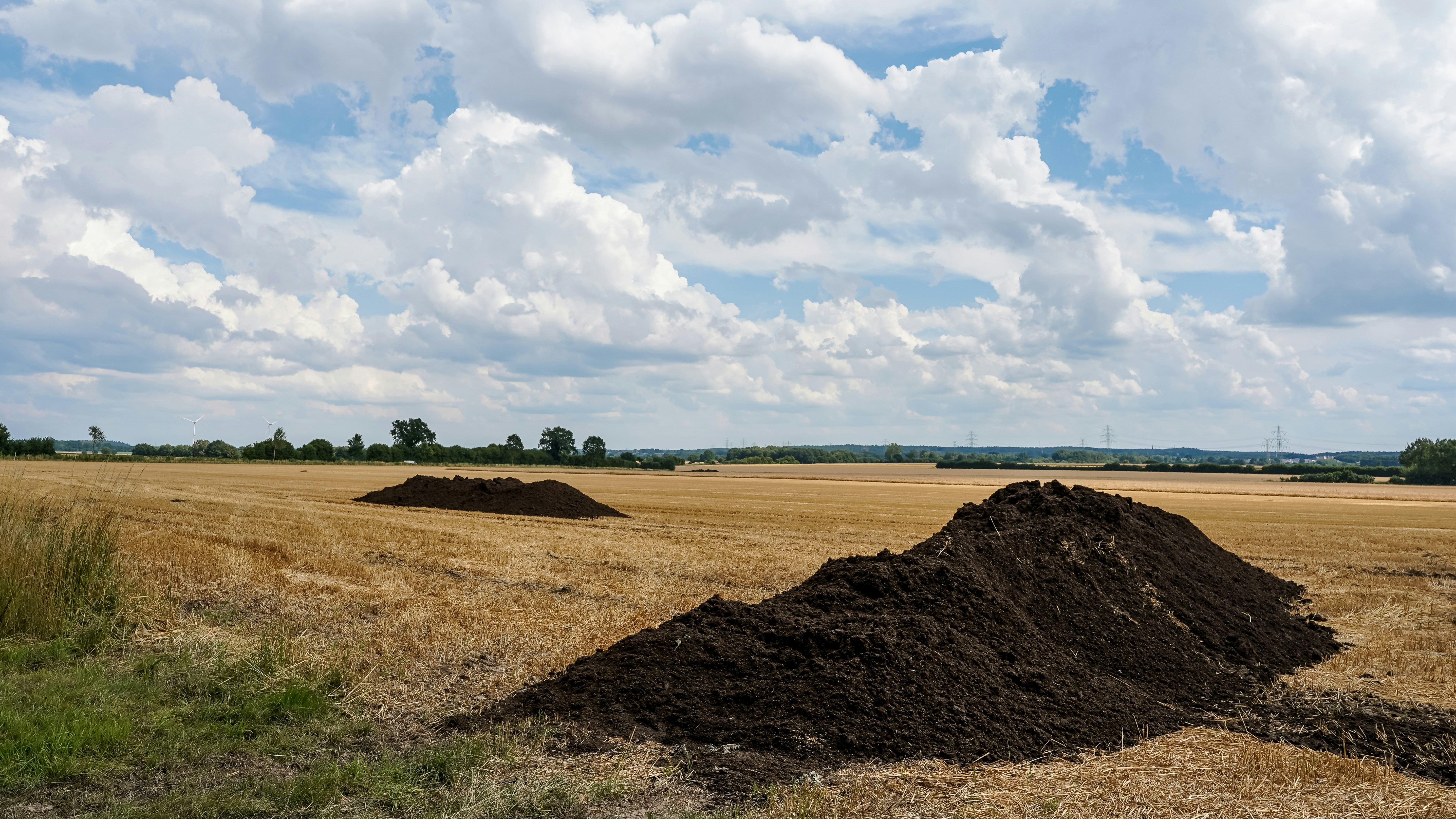 Large manure piles in a golden harvested field.