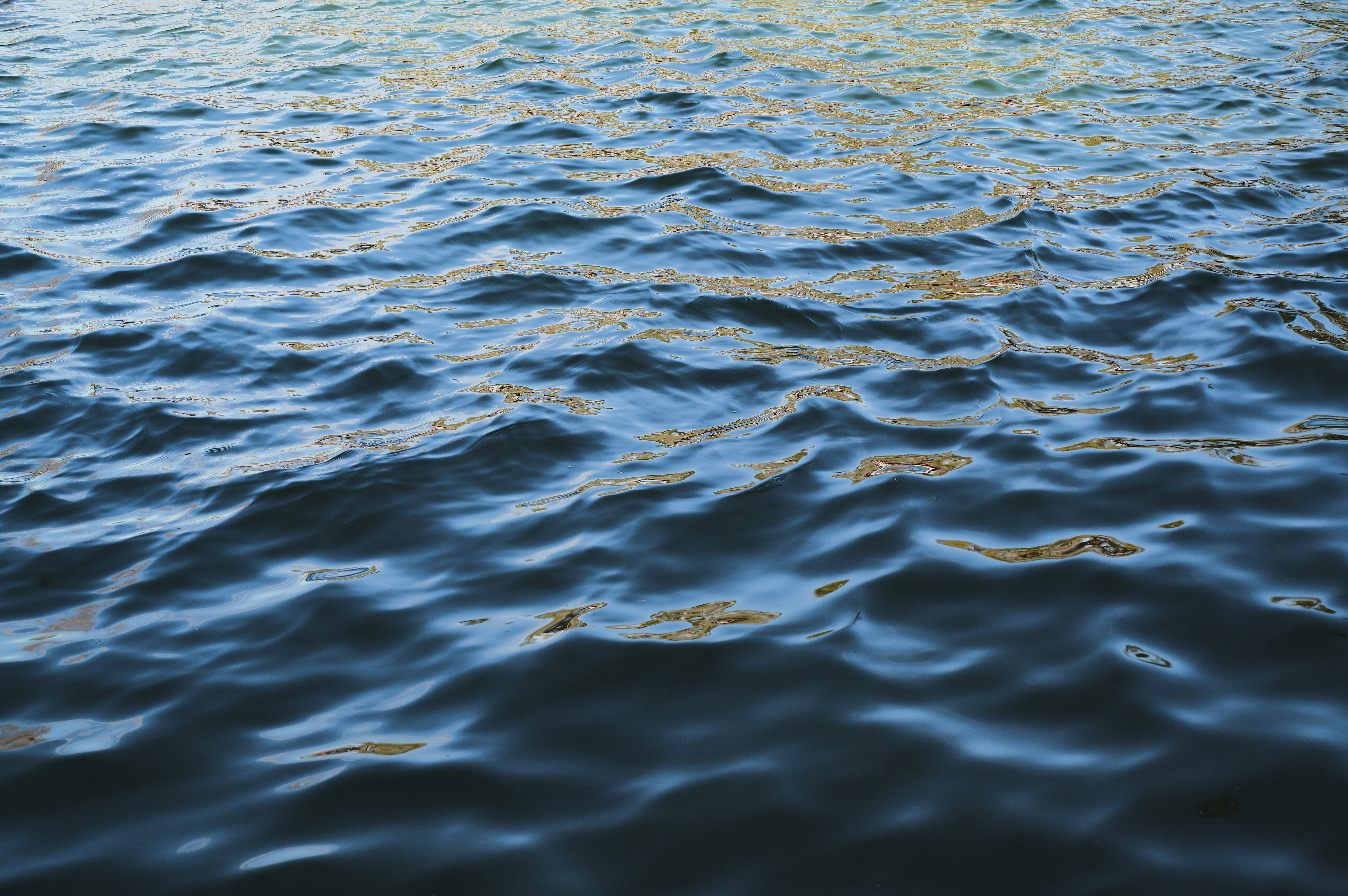 Blue water surface with small ripples and reflections.