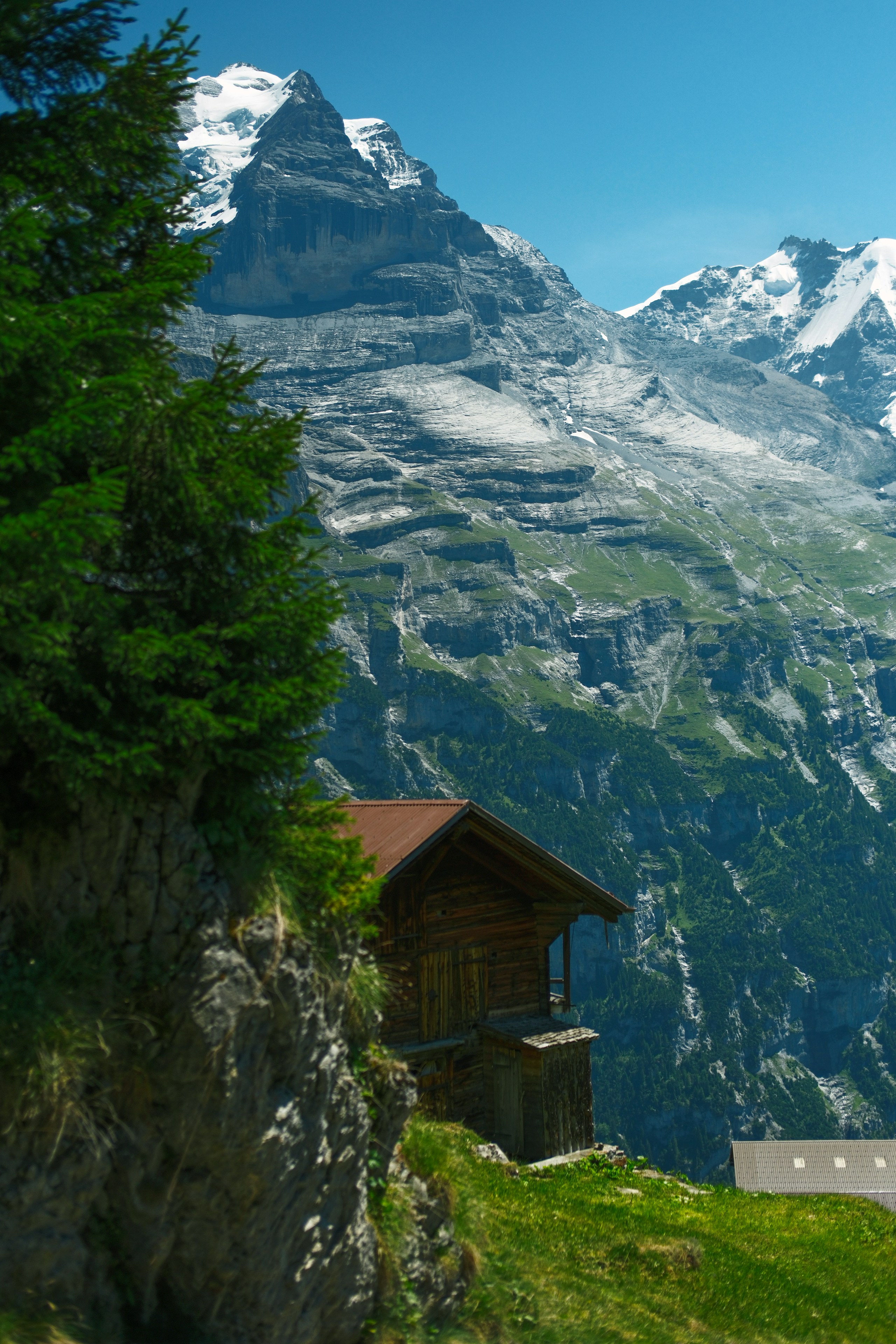 Wooden house on a green hillside with a snowy mountain