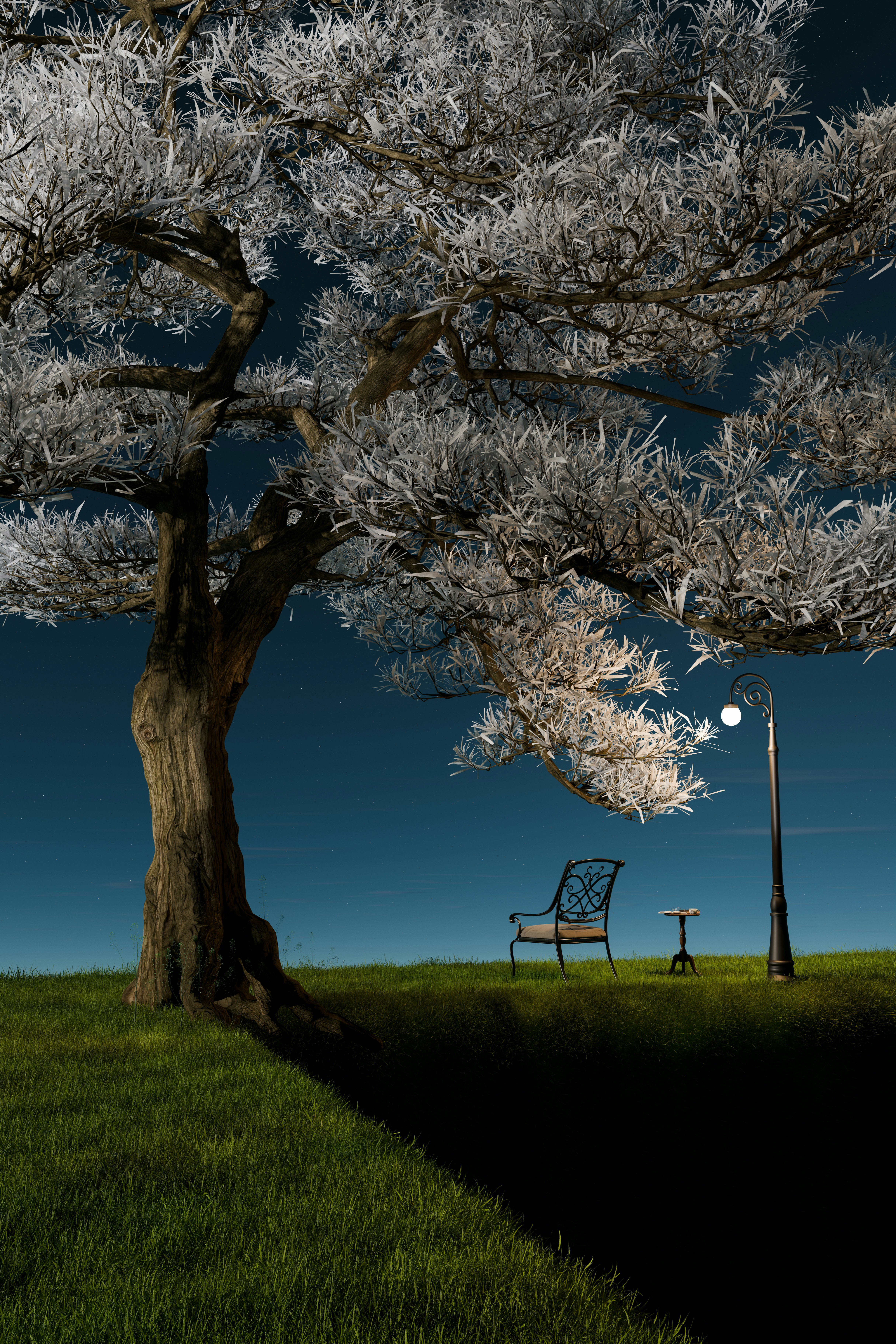 Frosted tree, bench, and lamppost under a dark blue sky