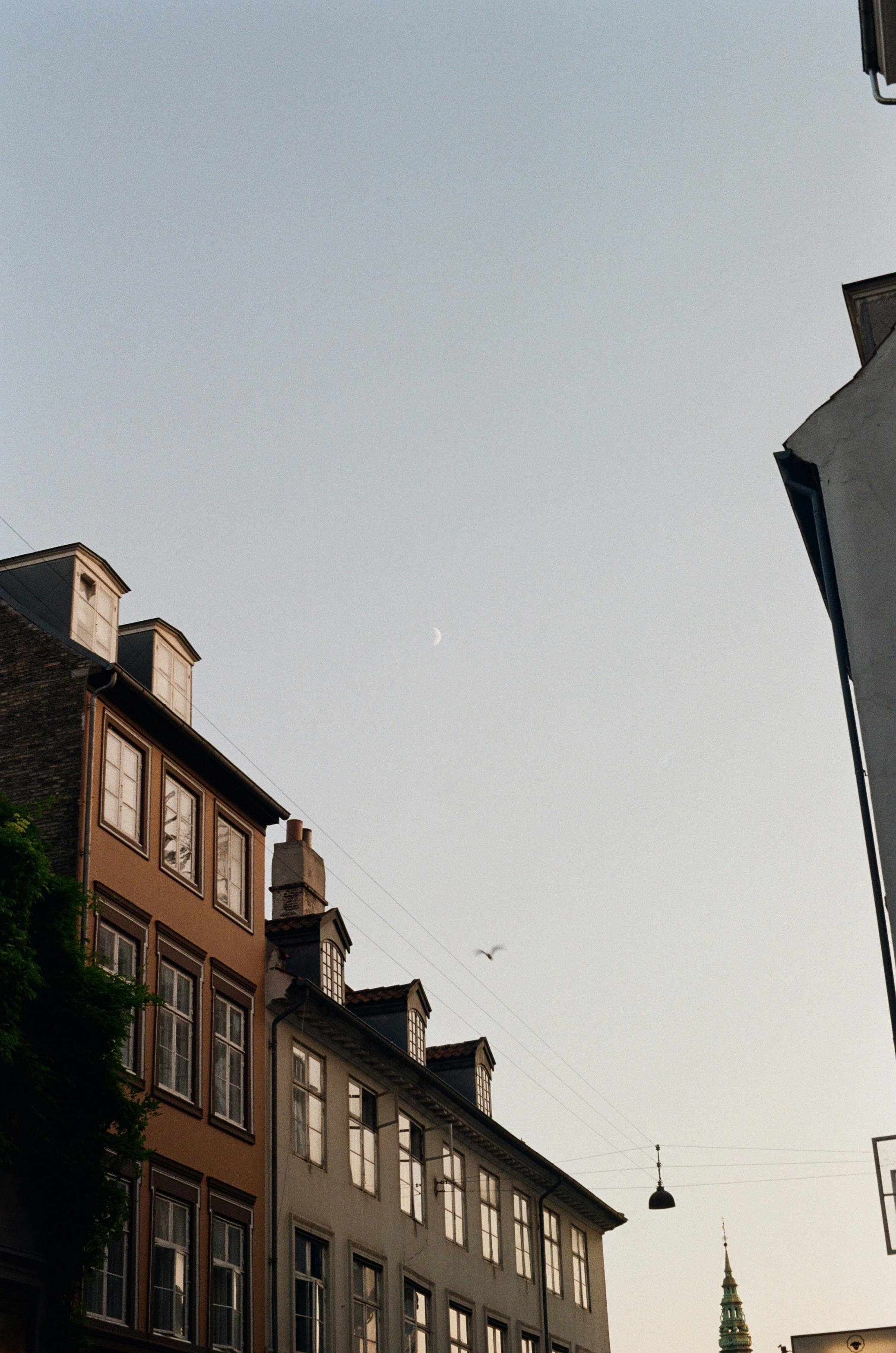 Crescent moon and bird above old city buildings at dusk.