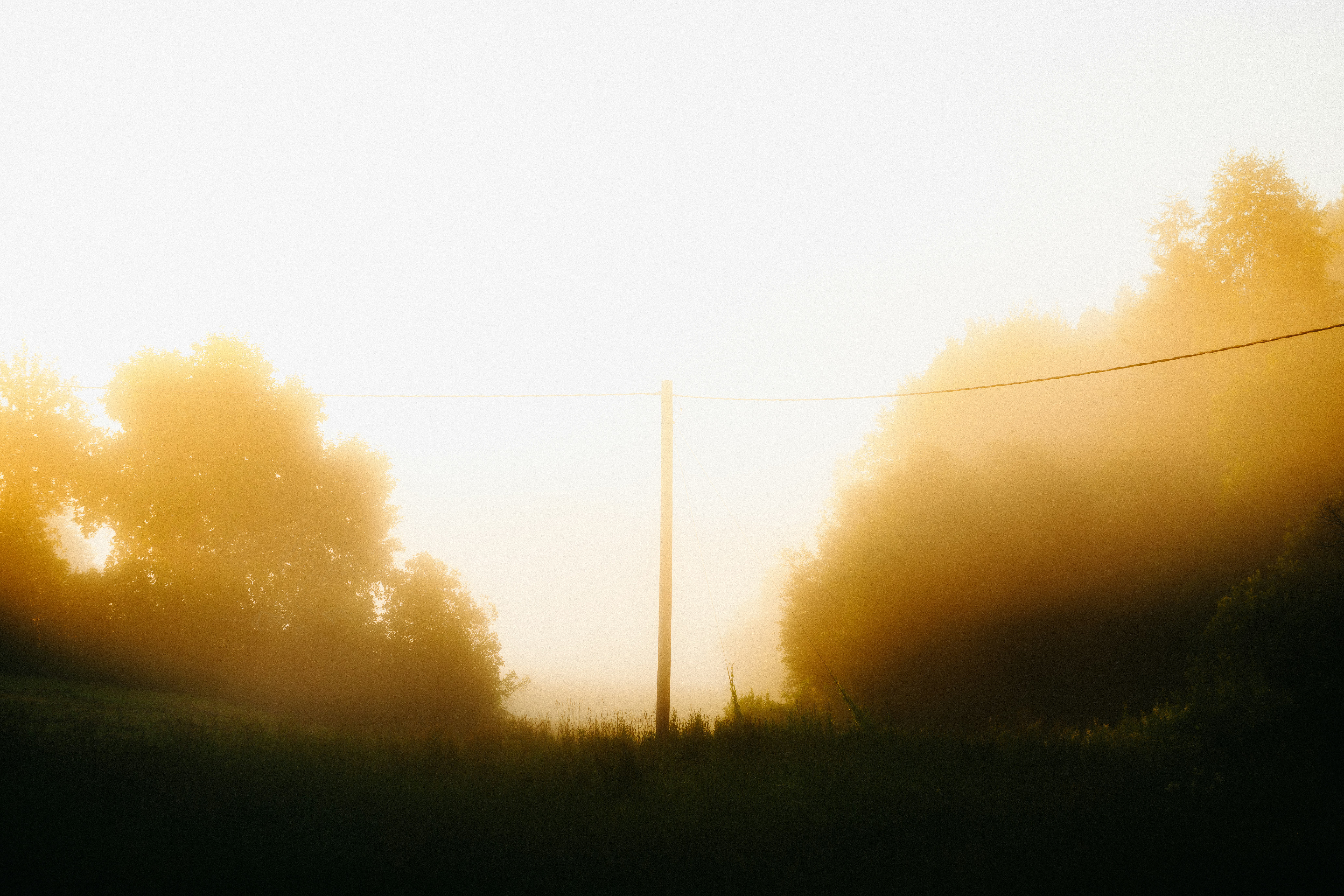 Experience Unbelievable Improvements With Evo Icl Surgical Treatment, As Patients Share Their Motivating Journeys And Recuperation Understandings-- Will You Be The Next Success Tale?
