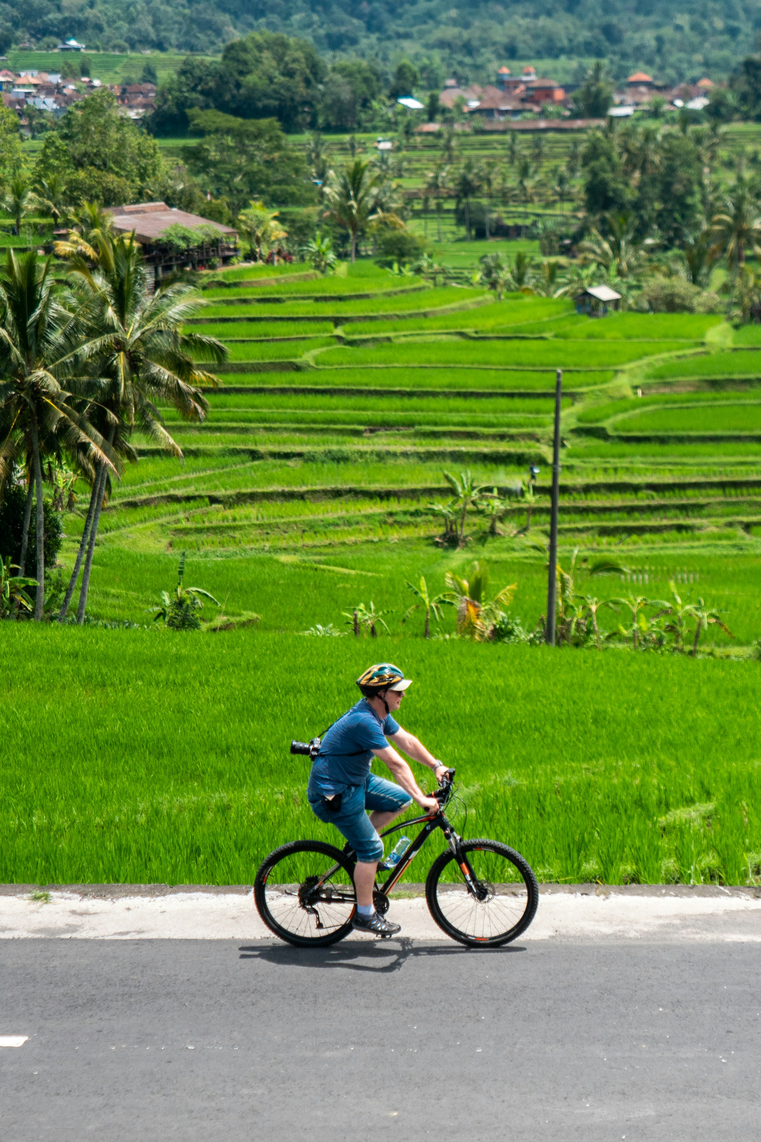 A person rides a bicycle past vibrant green rice terraces