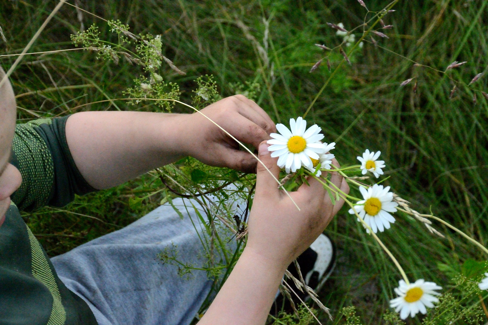 Kinderhanden leggen madeliefjes in het gras