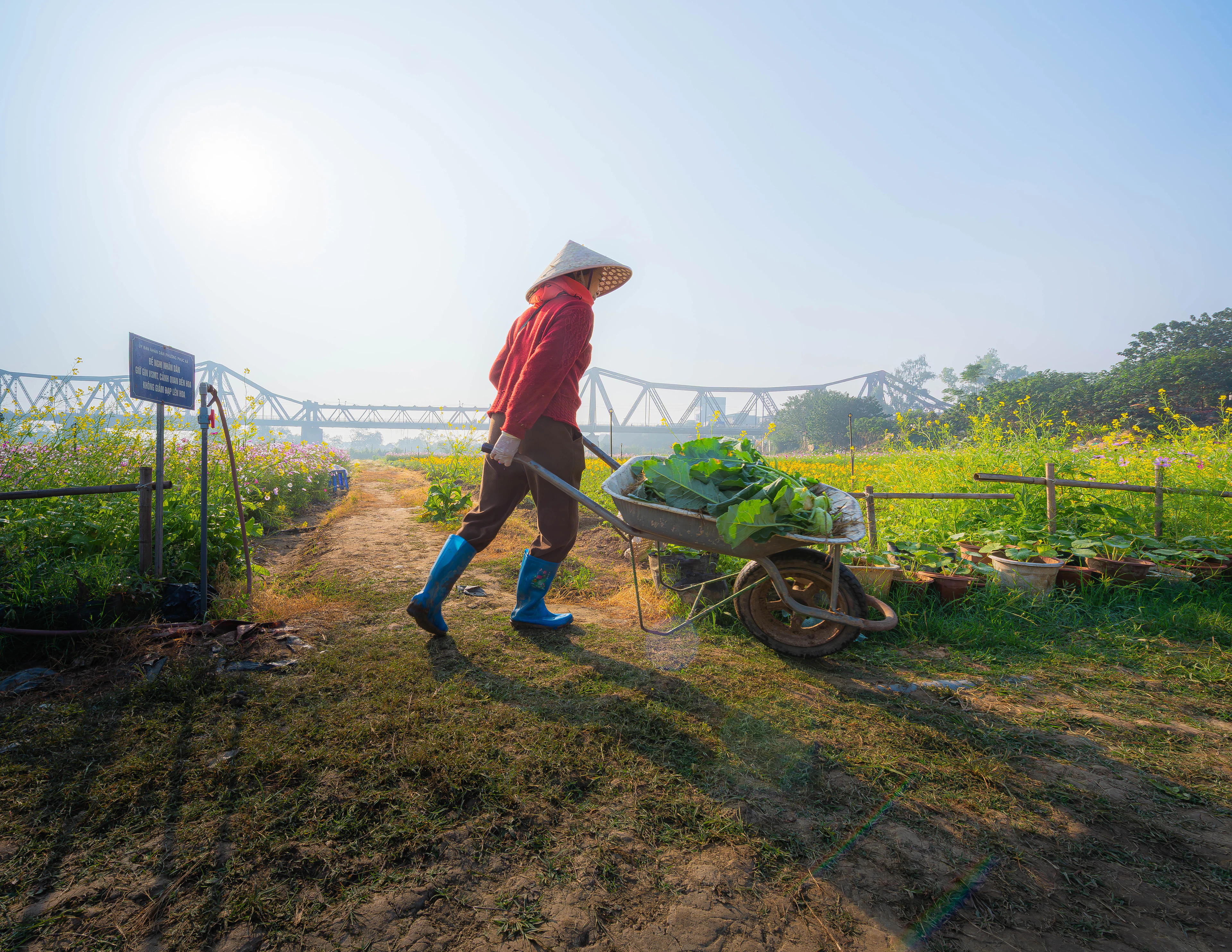 Tra Que vegetable village, Hoi An
