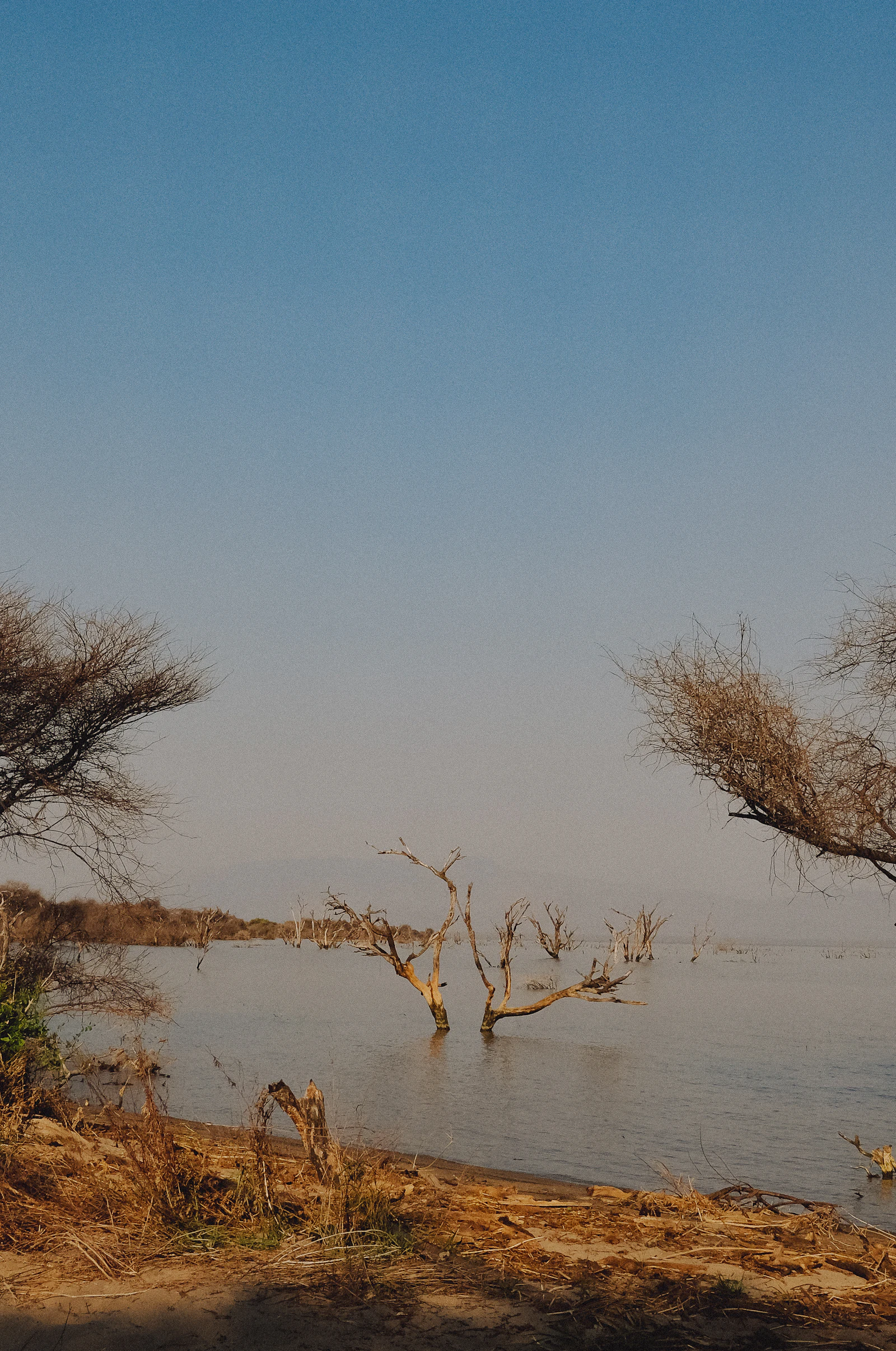 Landscape of Lake Manyara