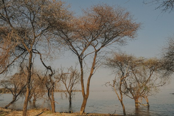 5 Days Lake Manyara, Ngorongoro & Tarangire Safari