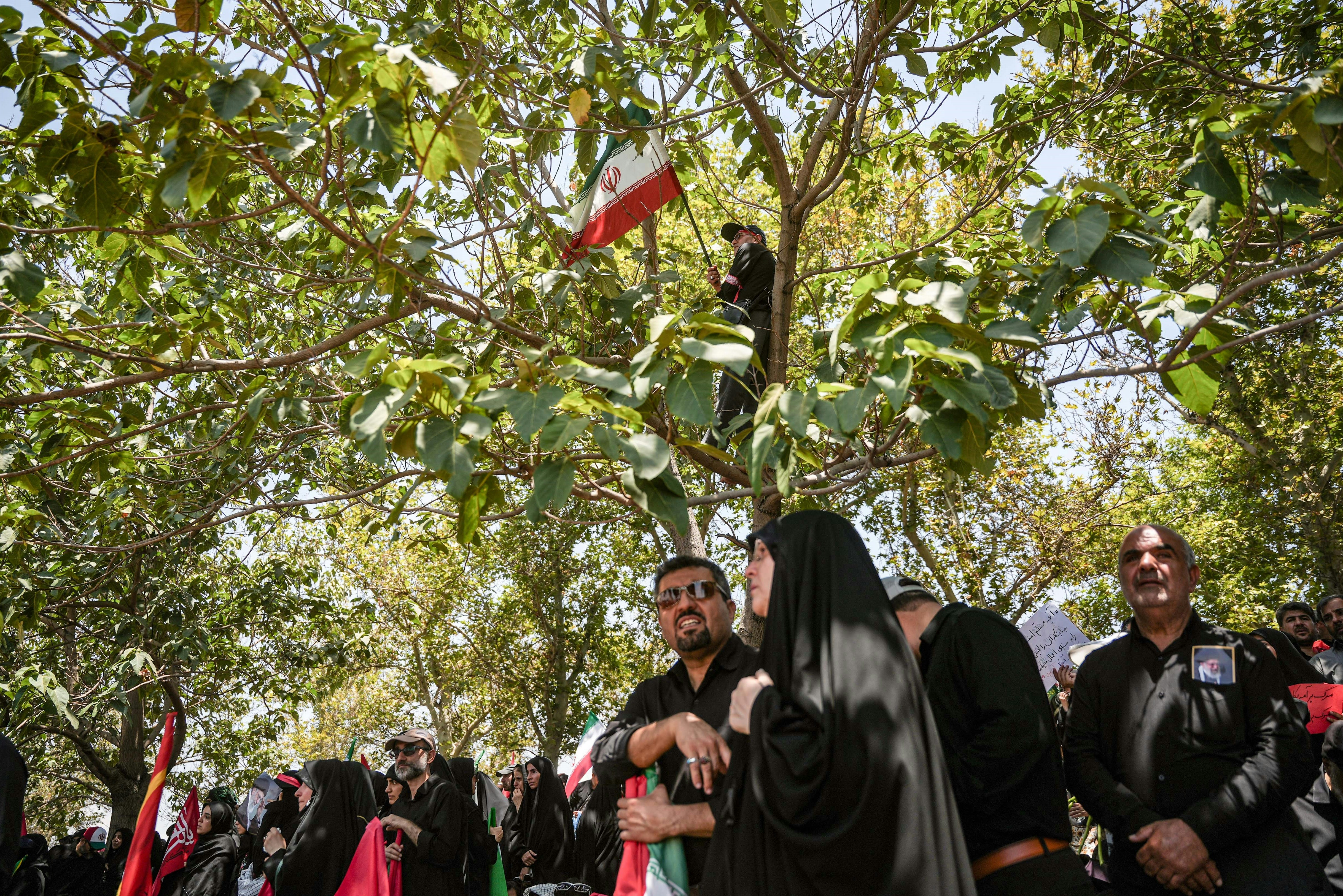 La foule regarde une personne accrocher un drapeau iranien dans un arbre