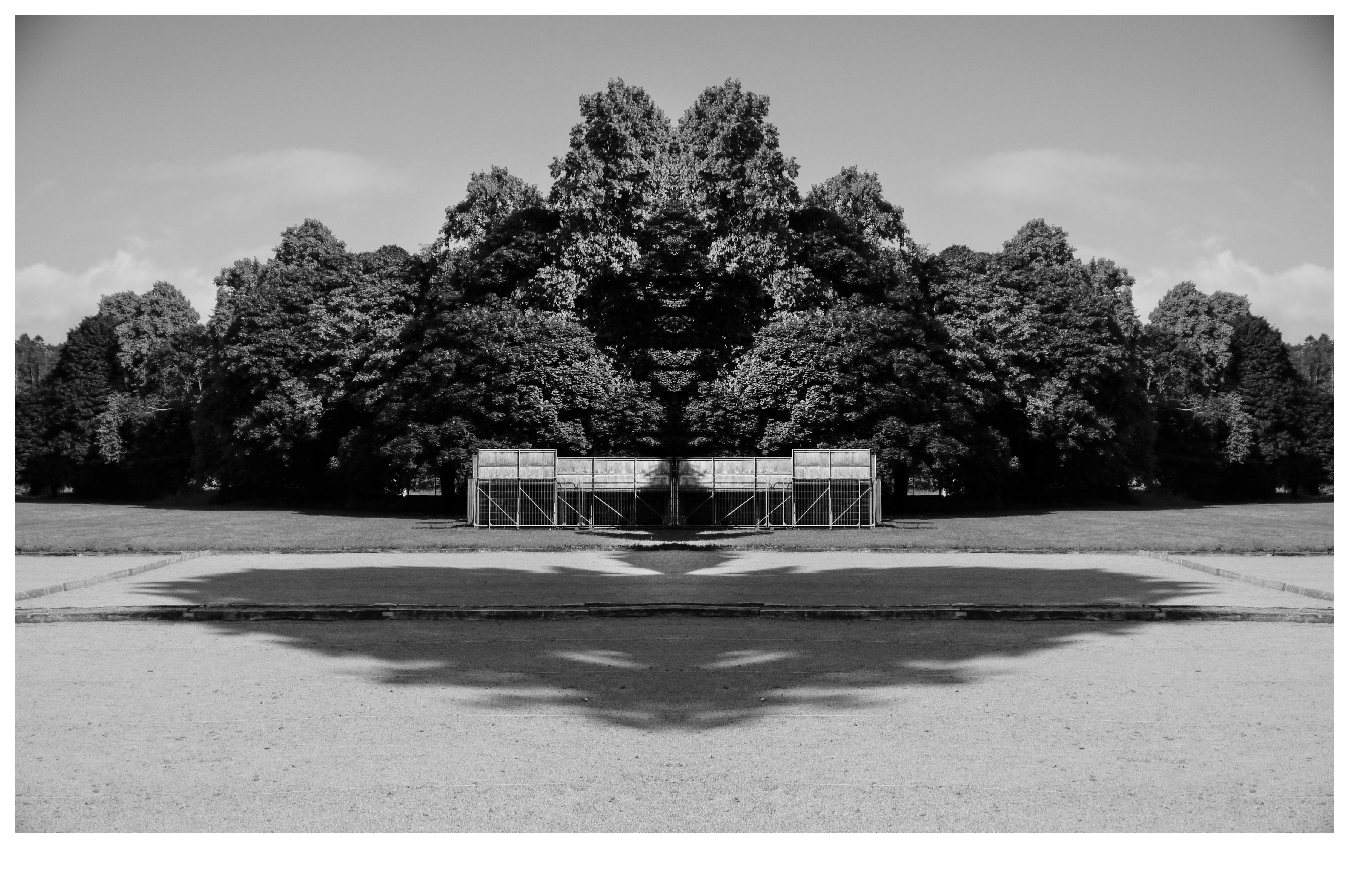Symmetrical landscape with trees, building, and heart-shaped shadow.