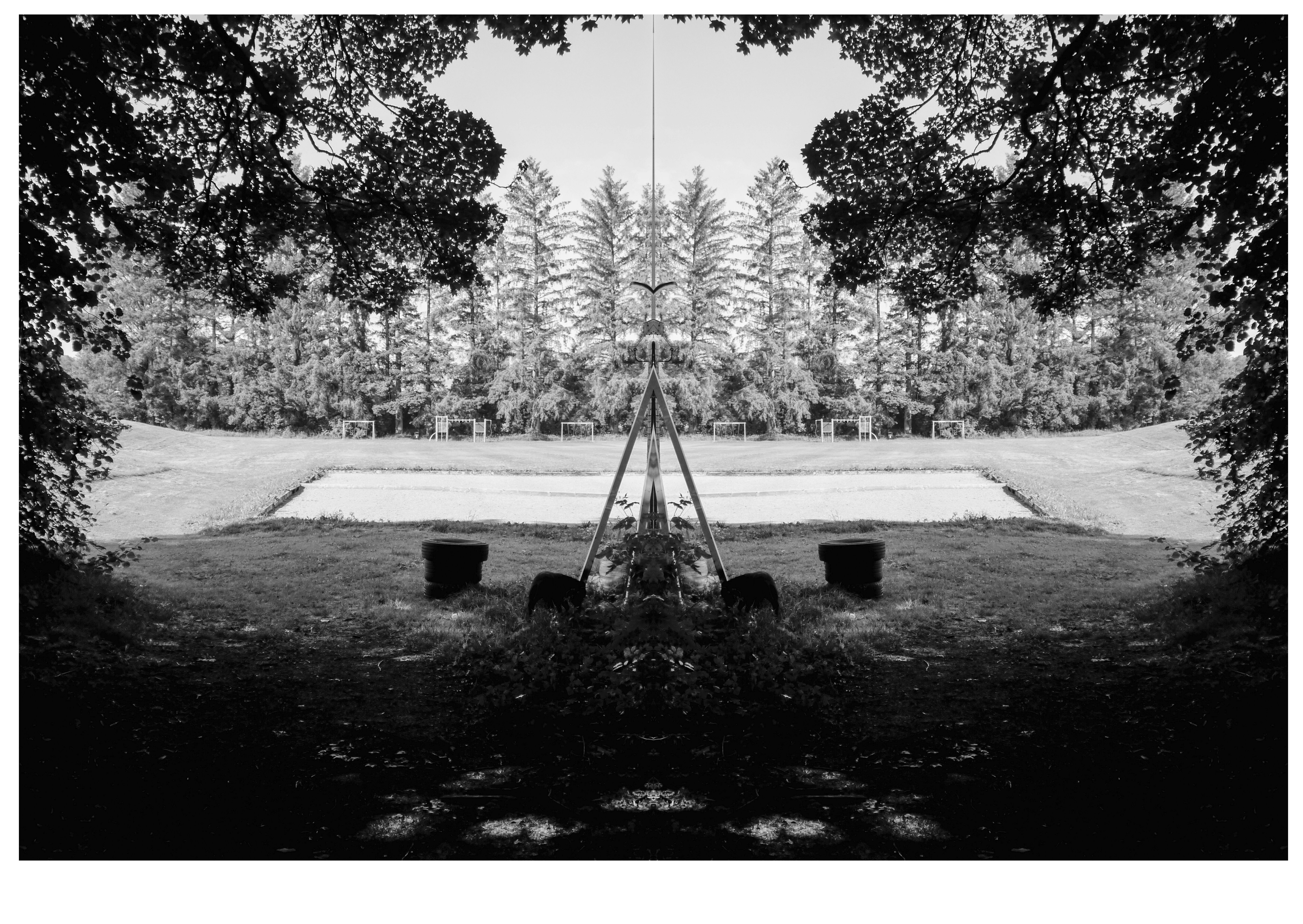 Mirrored black and white scene of trees and open field.
