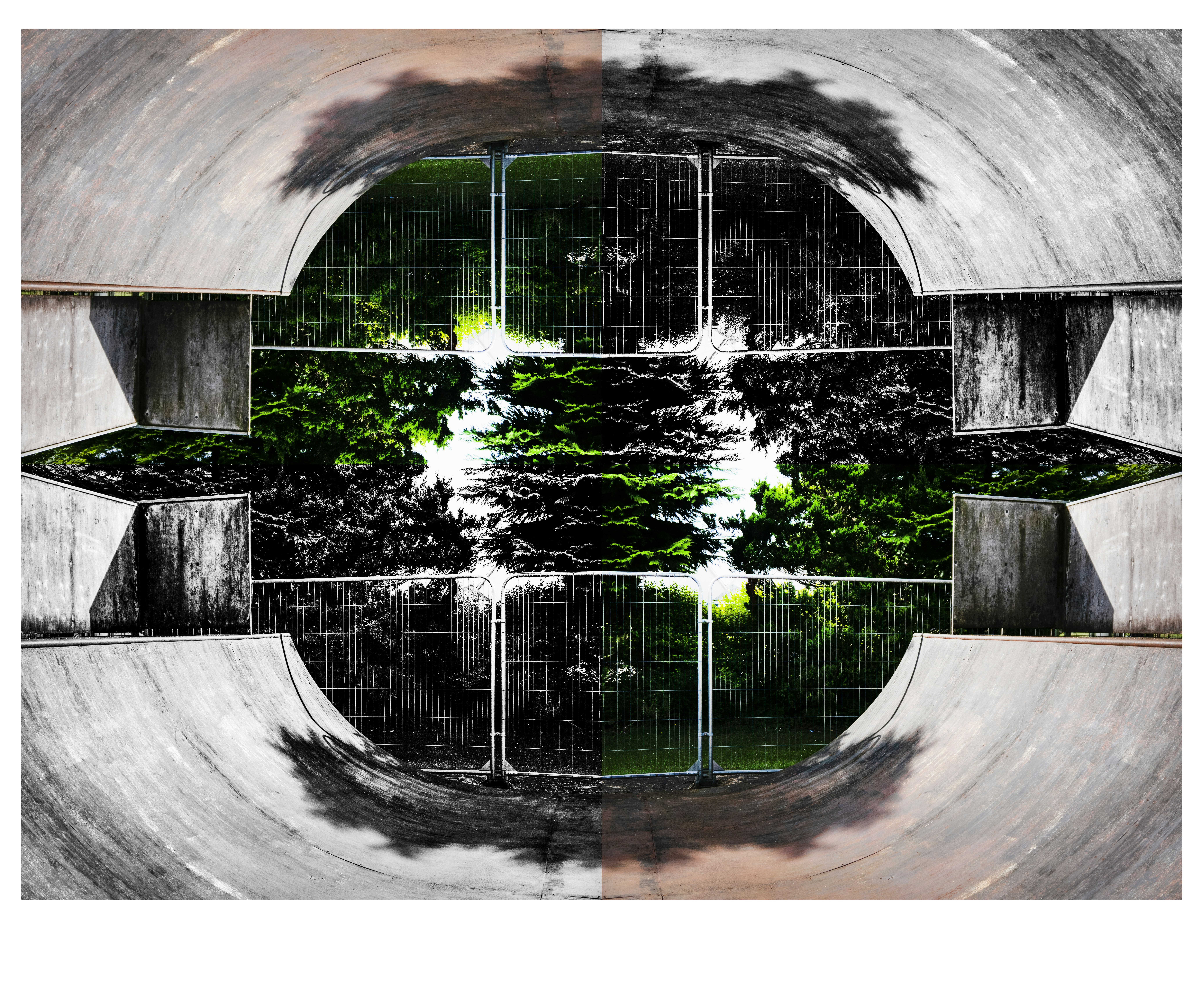 Abstract symmetrical composition with concrete, fences, and green foliage.