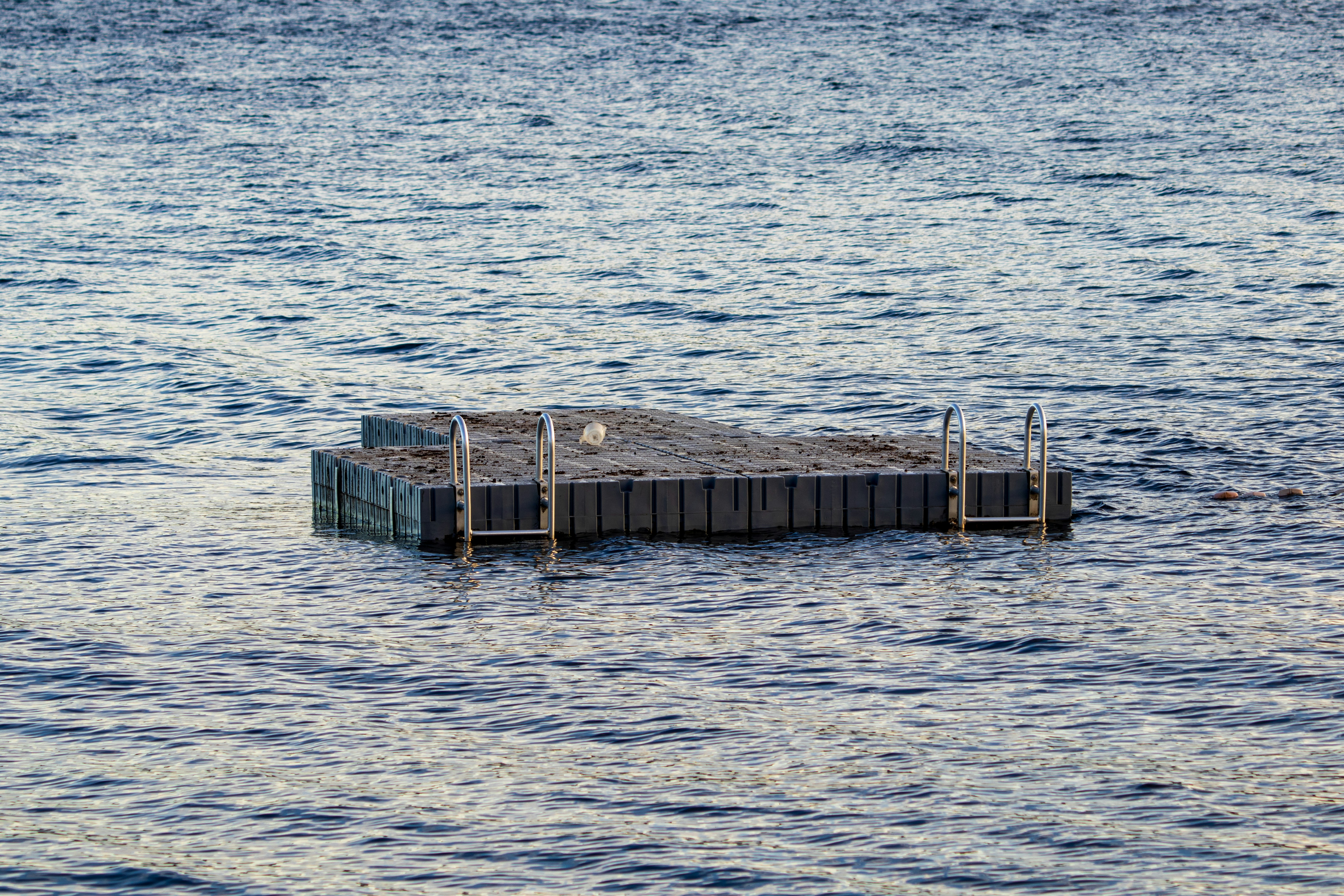 A floating dock with ladders sits on calm water.