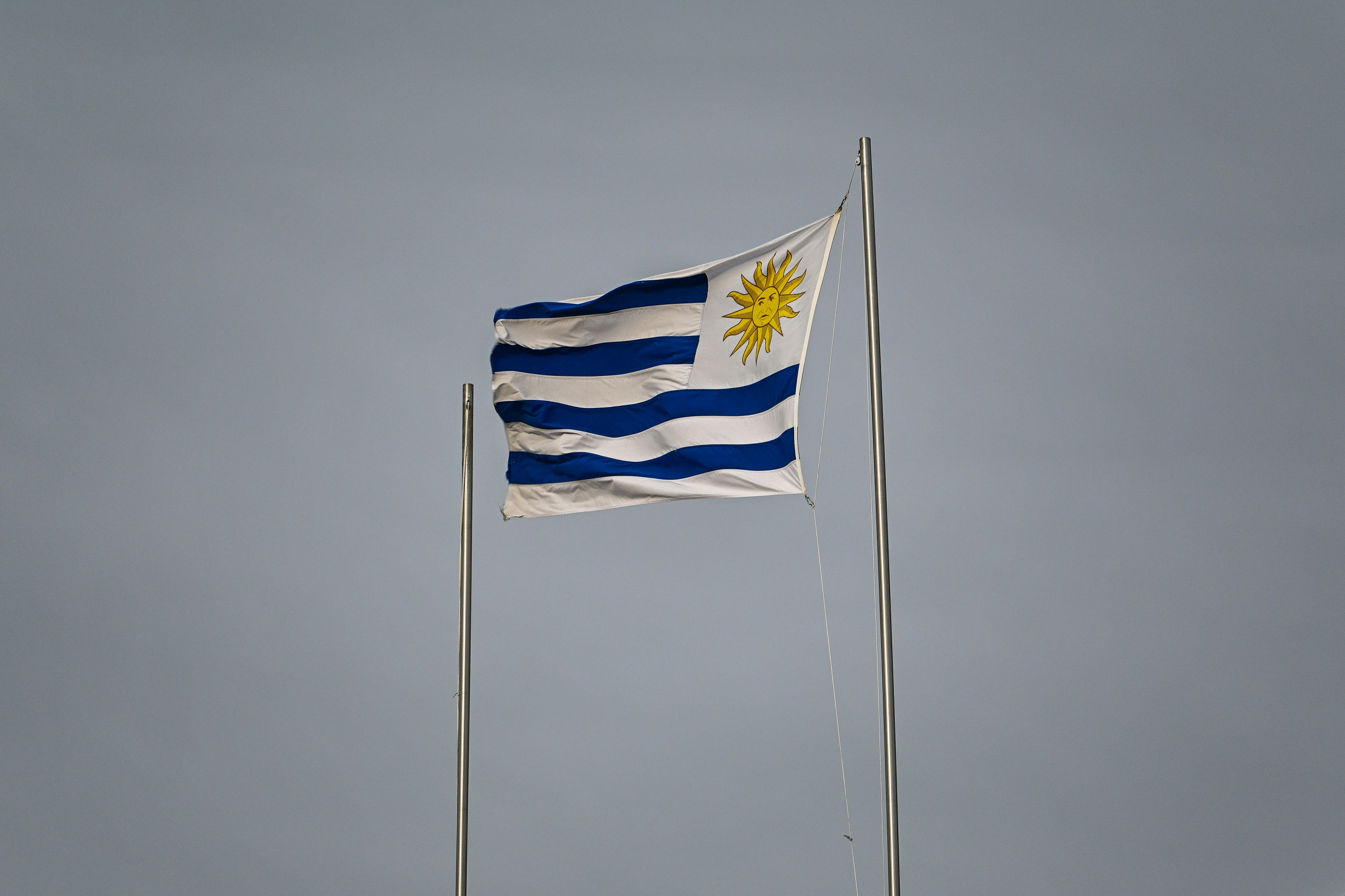 The flag of uruguay waves against a grey sky.