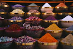 Rows of colorful spices displayed in bowls