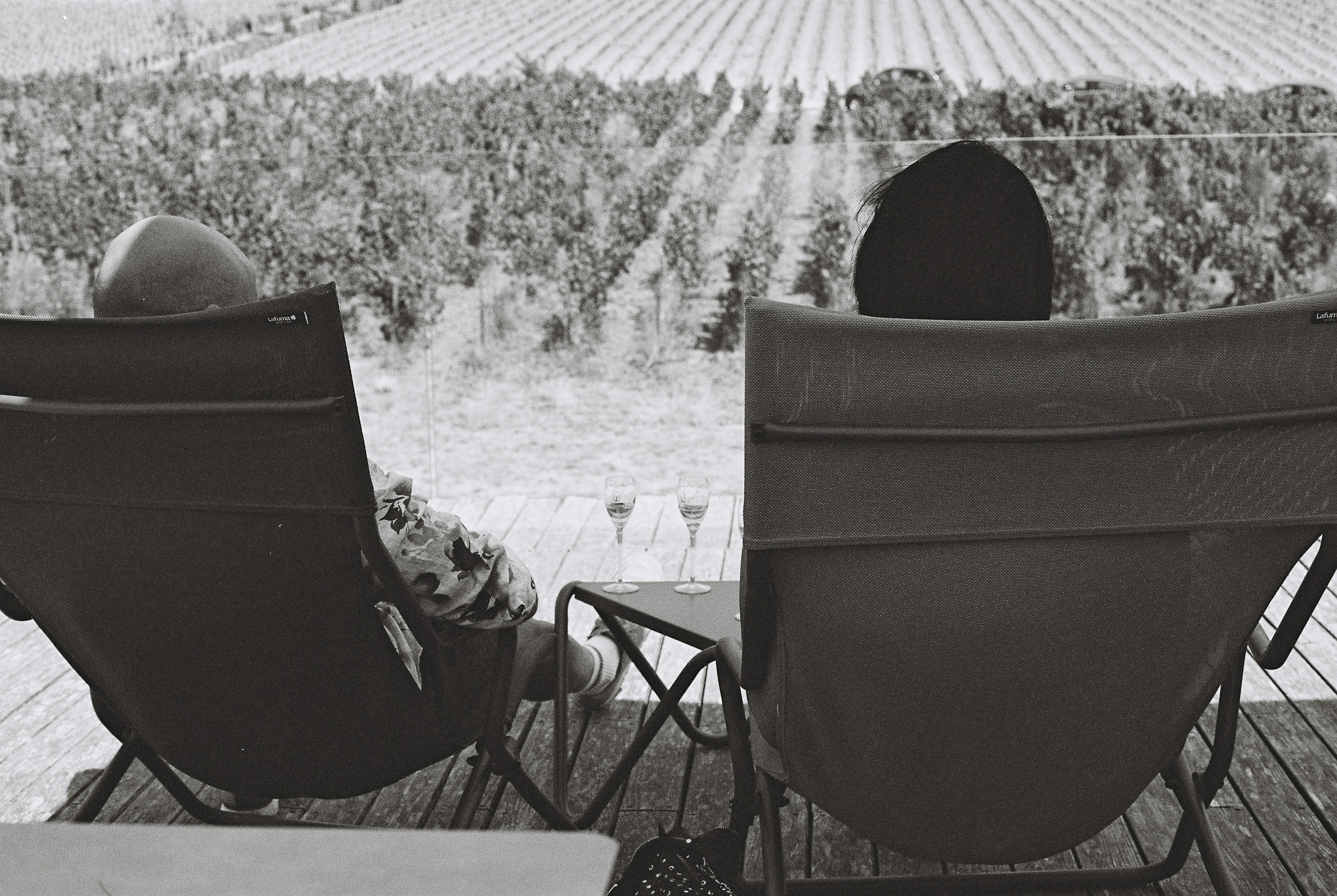 Couple relaxing in chairs overlooking vineyard