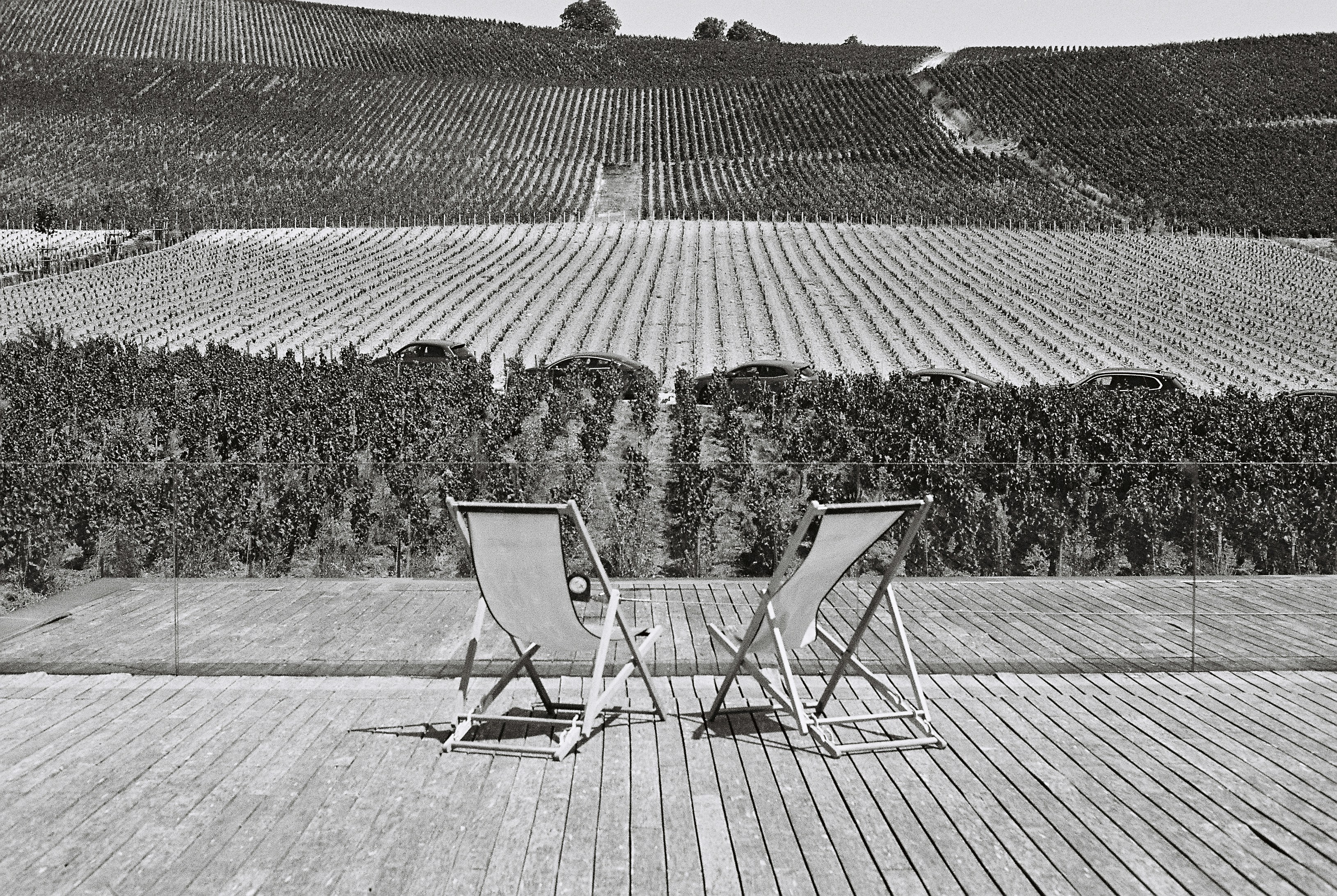 Deck chairs on wooden deck overlooking vineyard