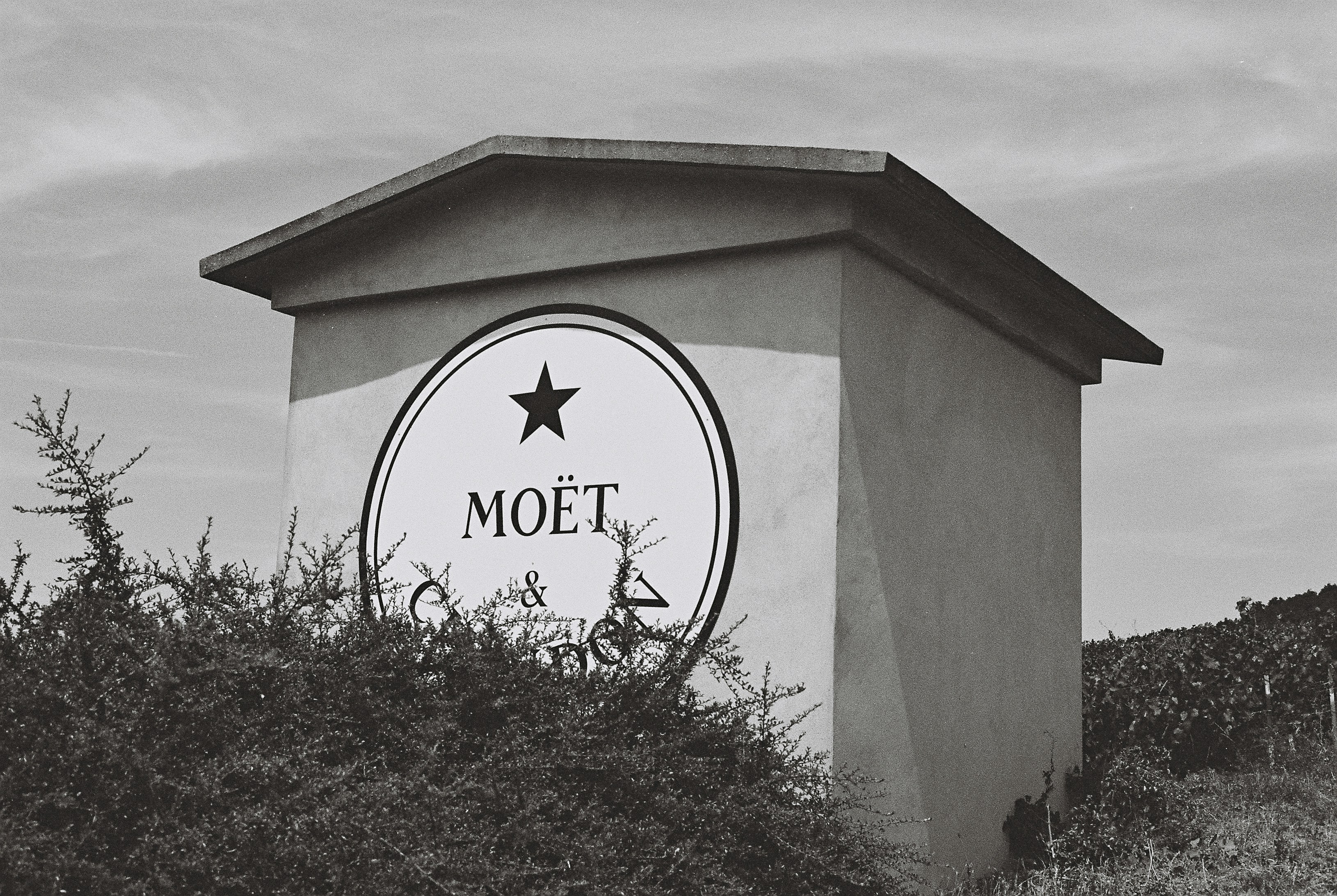 ALMAS GEMELAS (Motel)