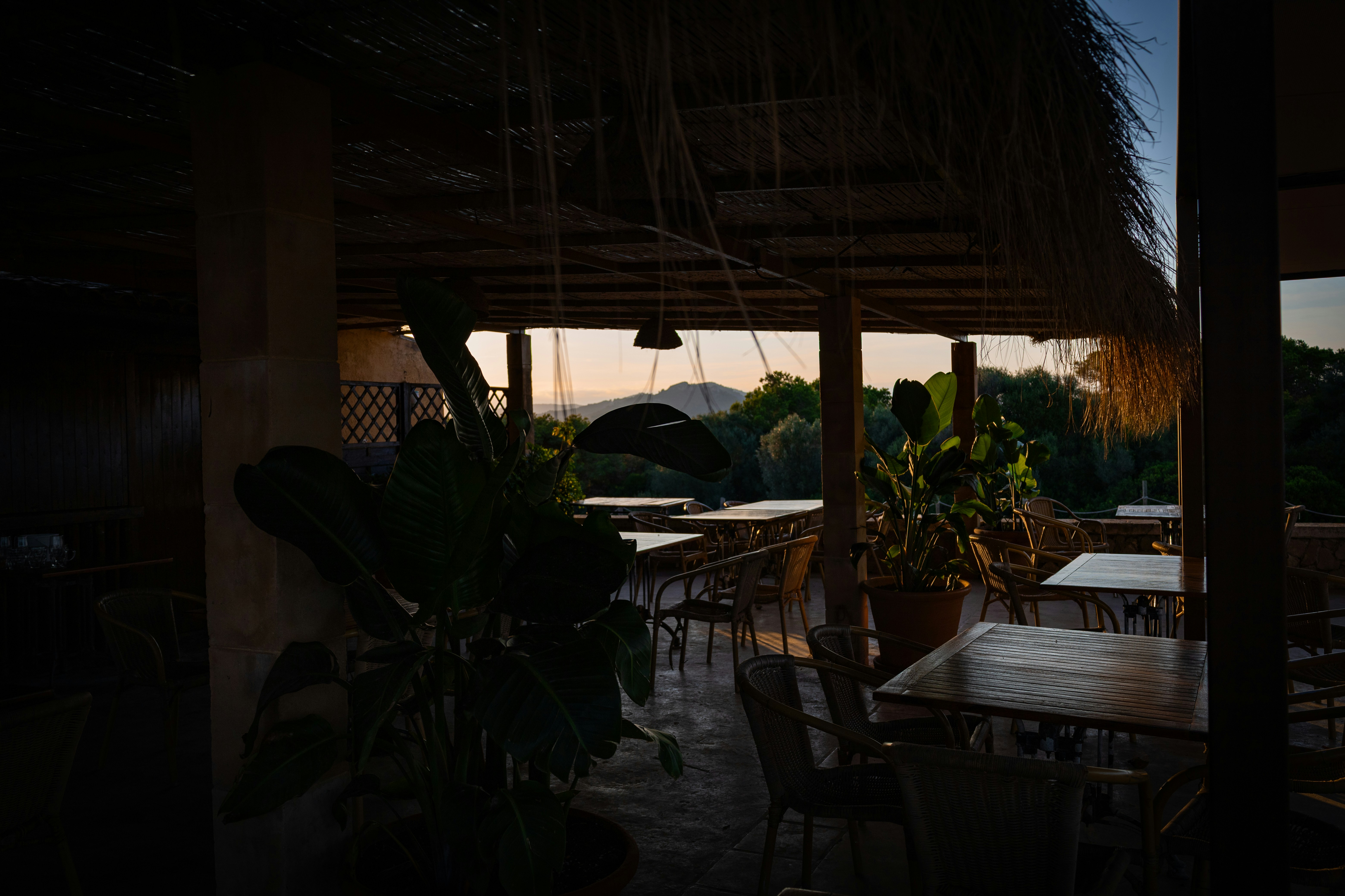 Best Restaurants in Capas for Business Lunches (2026)