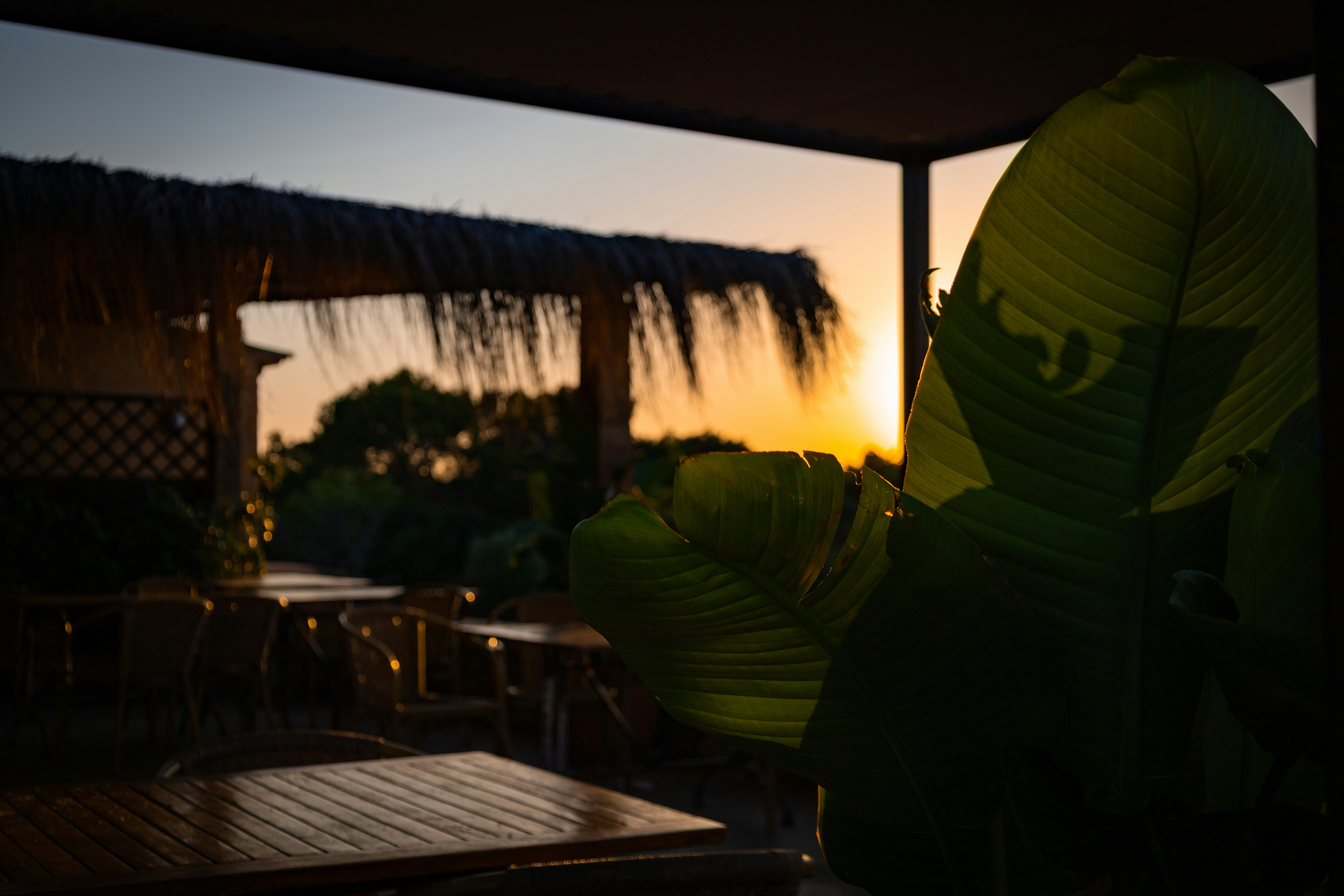 Best Coworking Spaces in Bacalar, Mexico (2026)