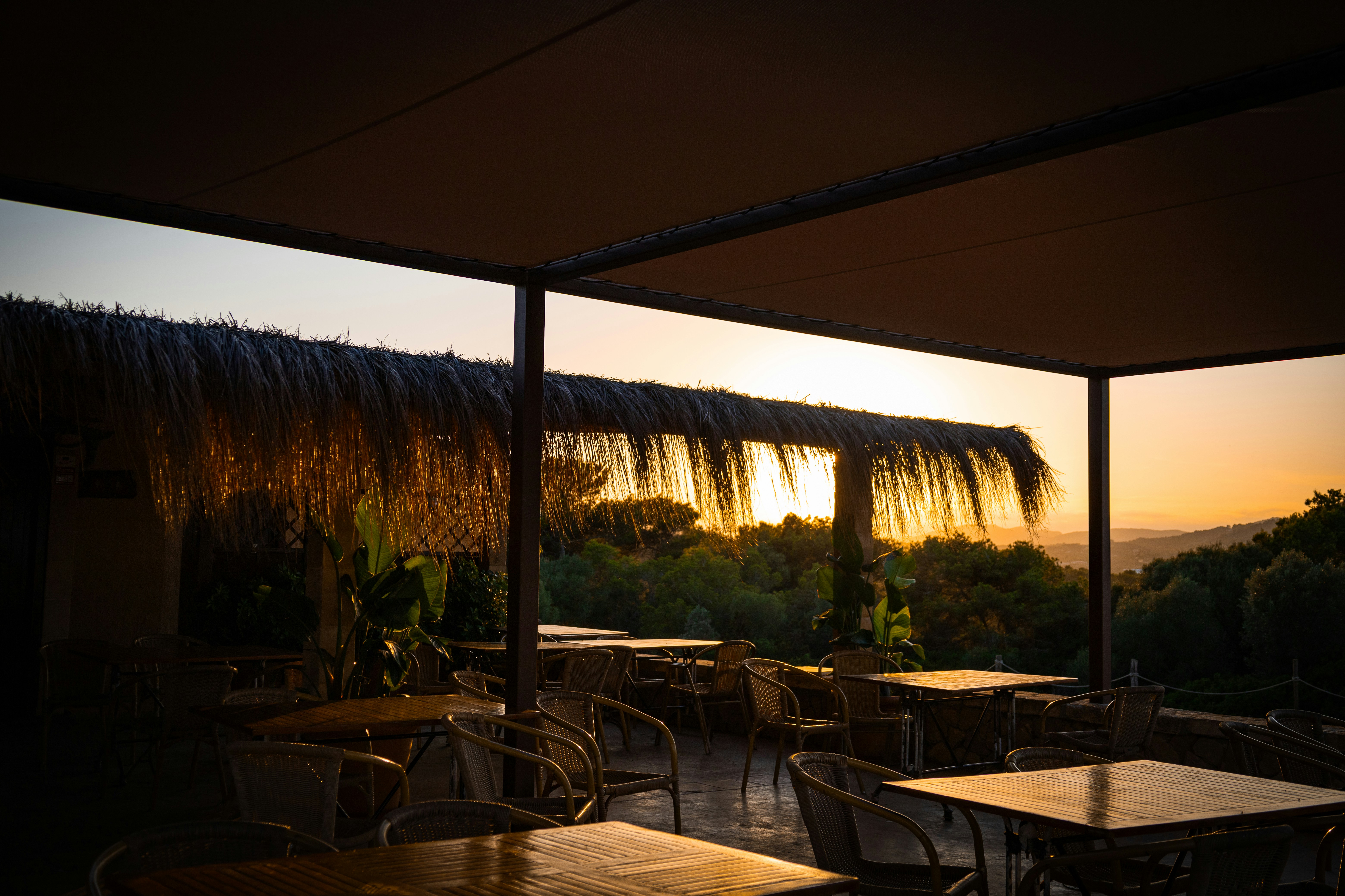 Monty's Sunset