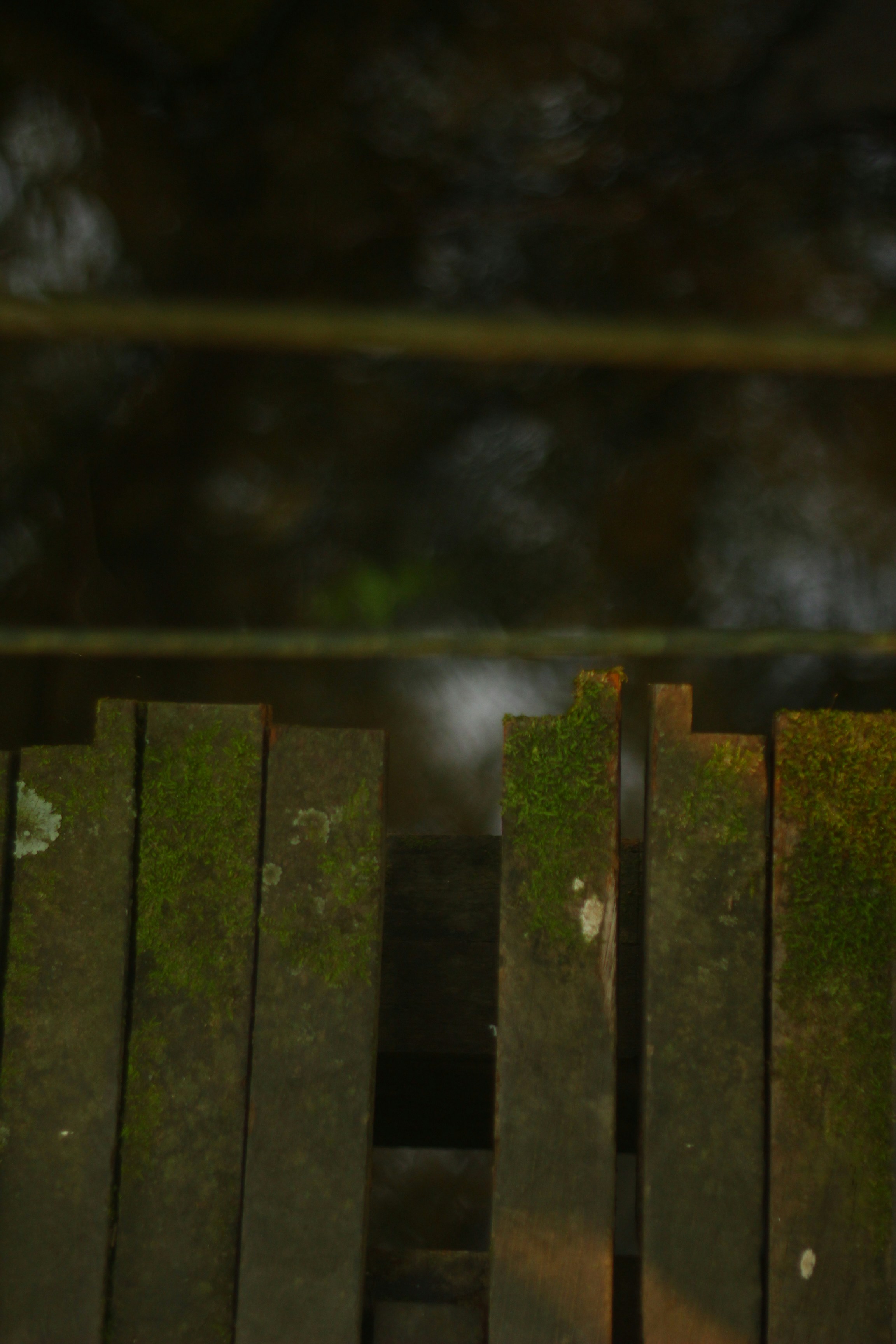 Weathered wooden fence planks covered with green moss