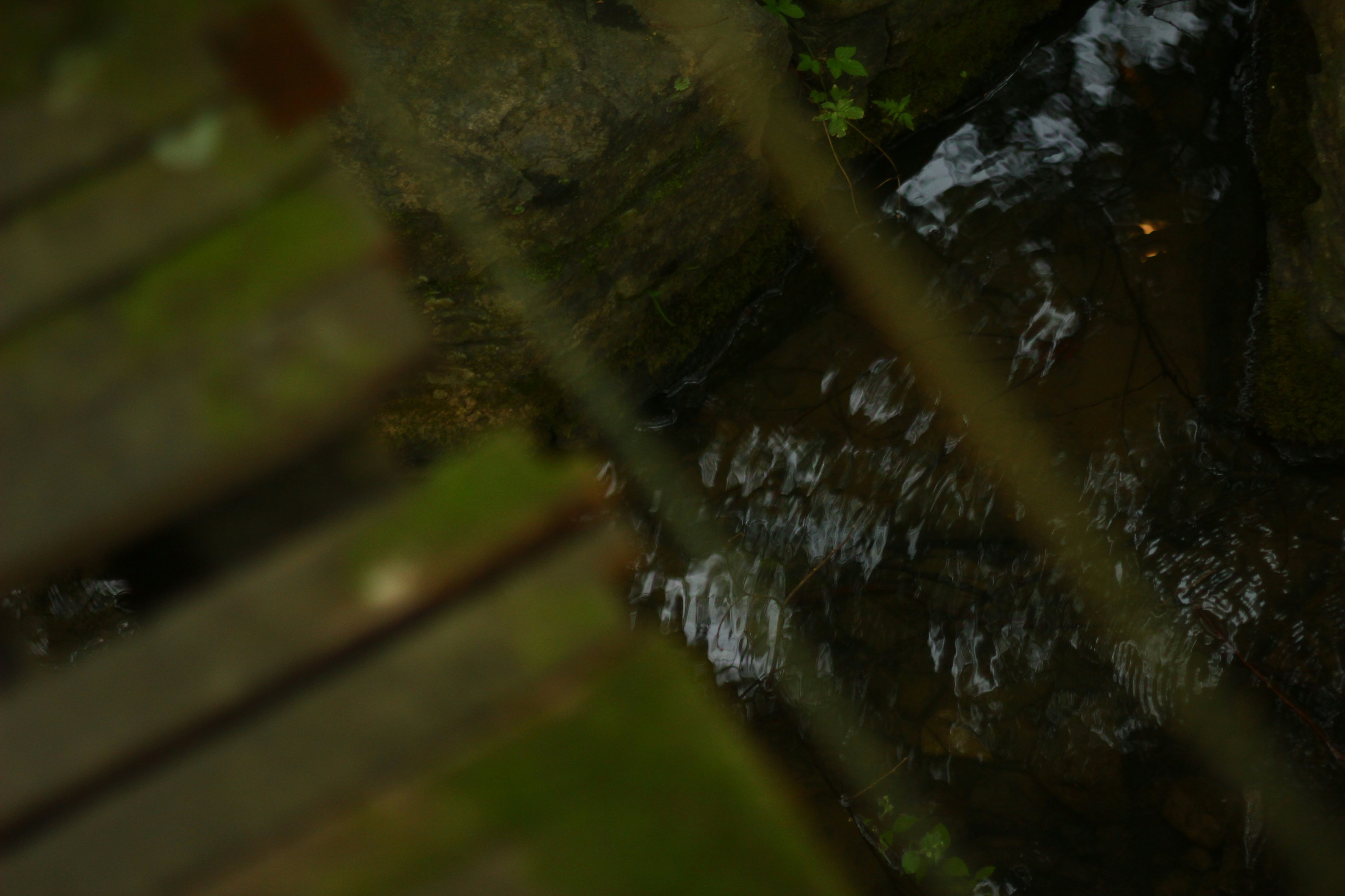 Flowing water beneath mossy wooden planks
