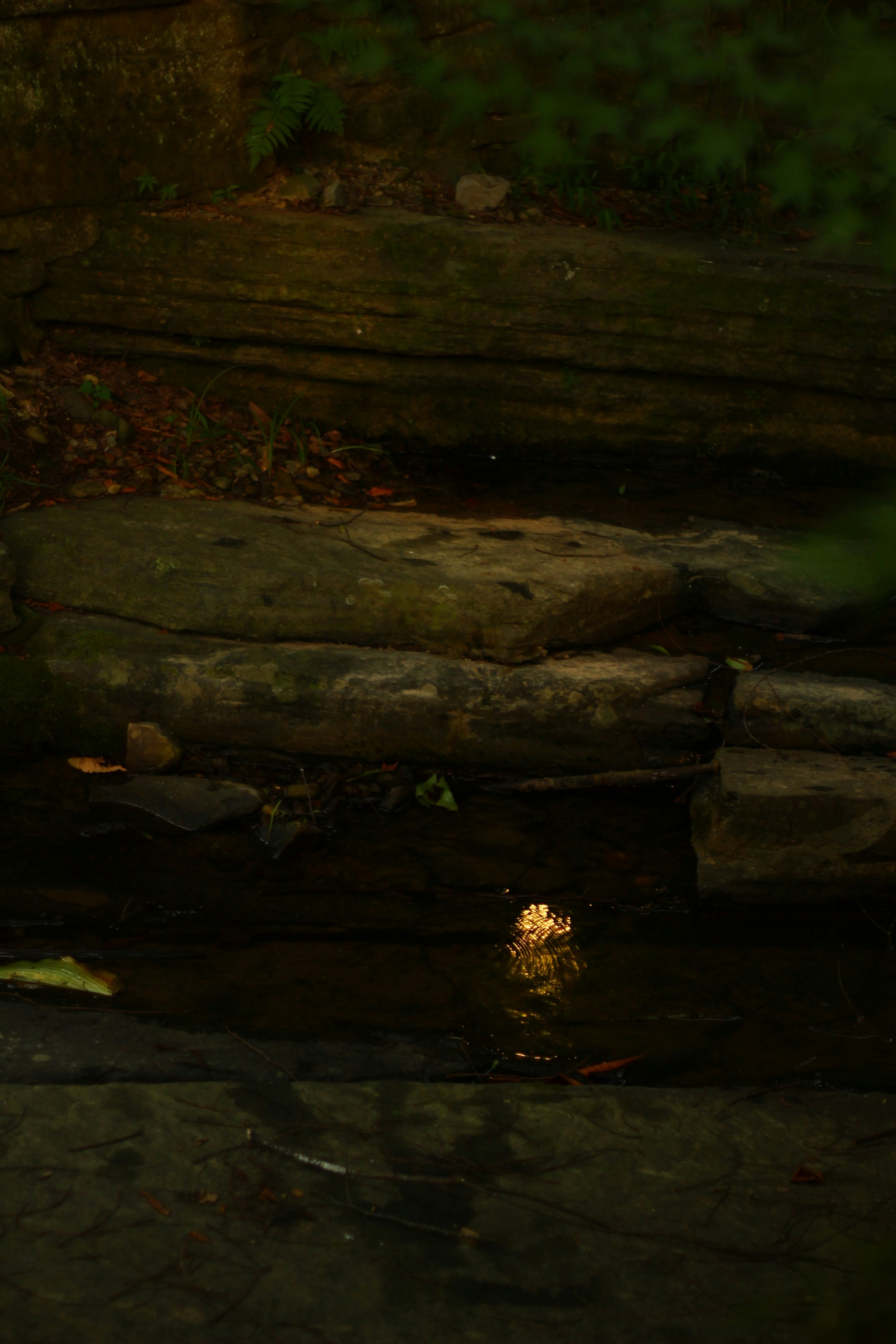 Dark layered rocks with light reflecting in a small stream
