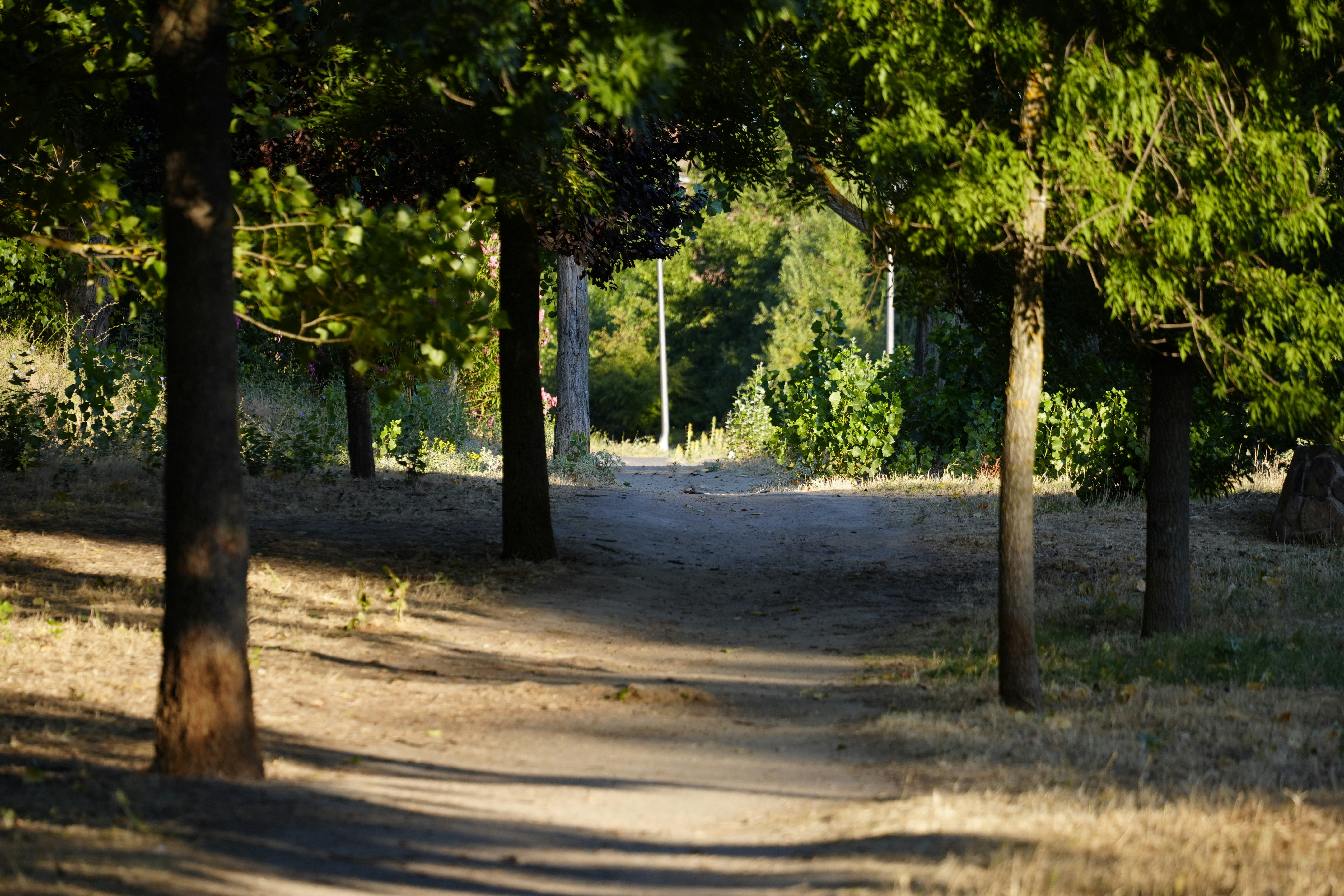 East Bay Vista Park