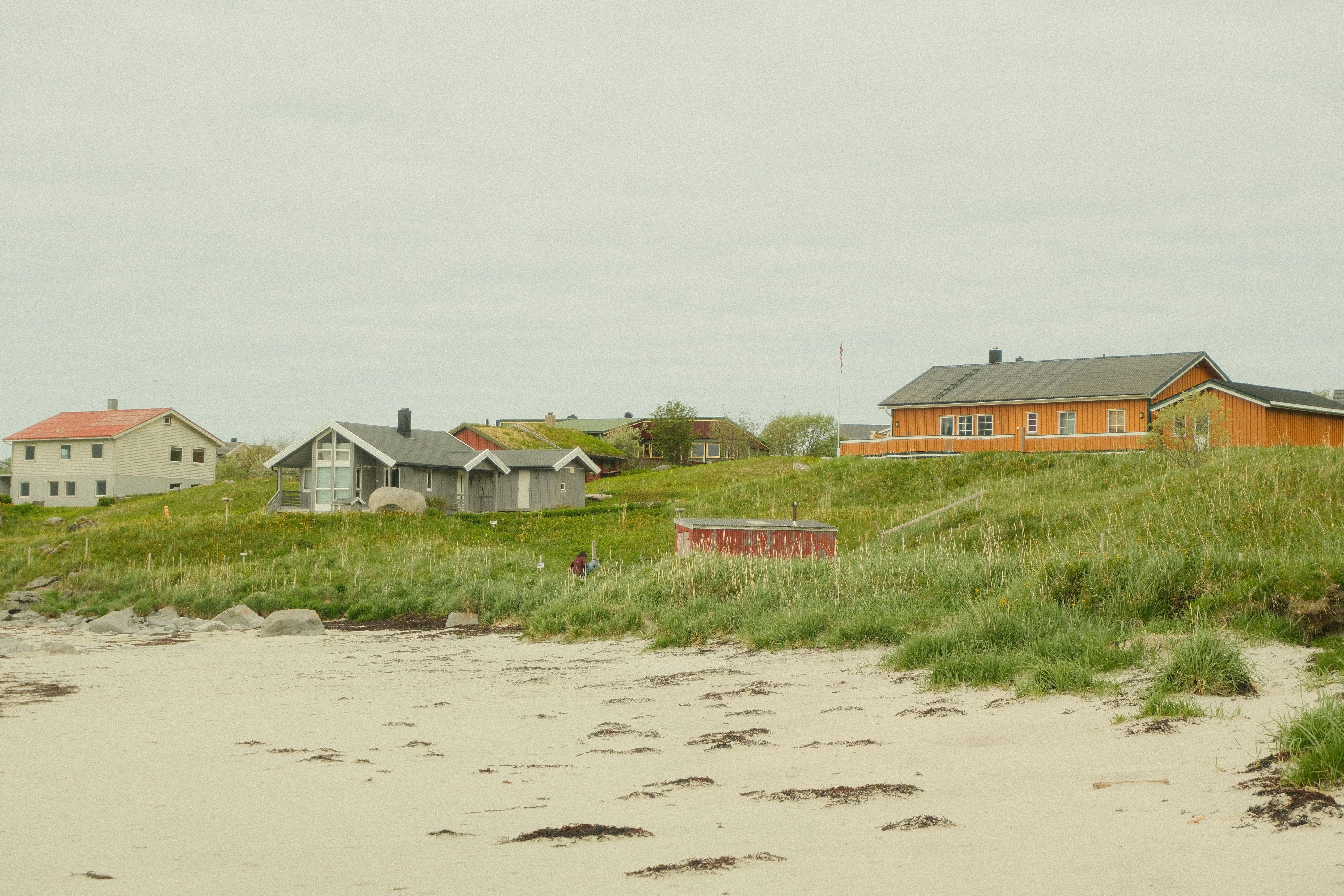 Houses on a grassy hill overlooking a sandy beach.