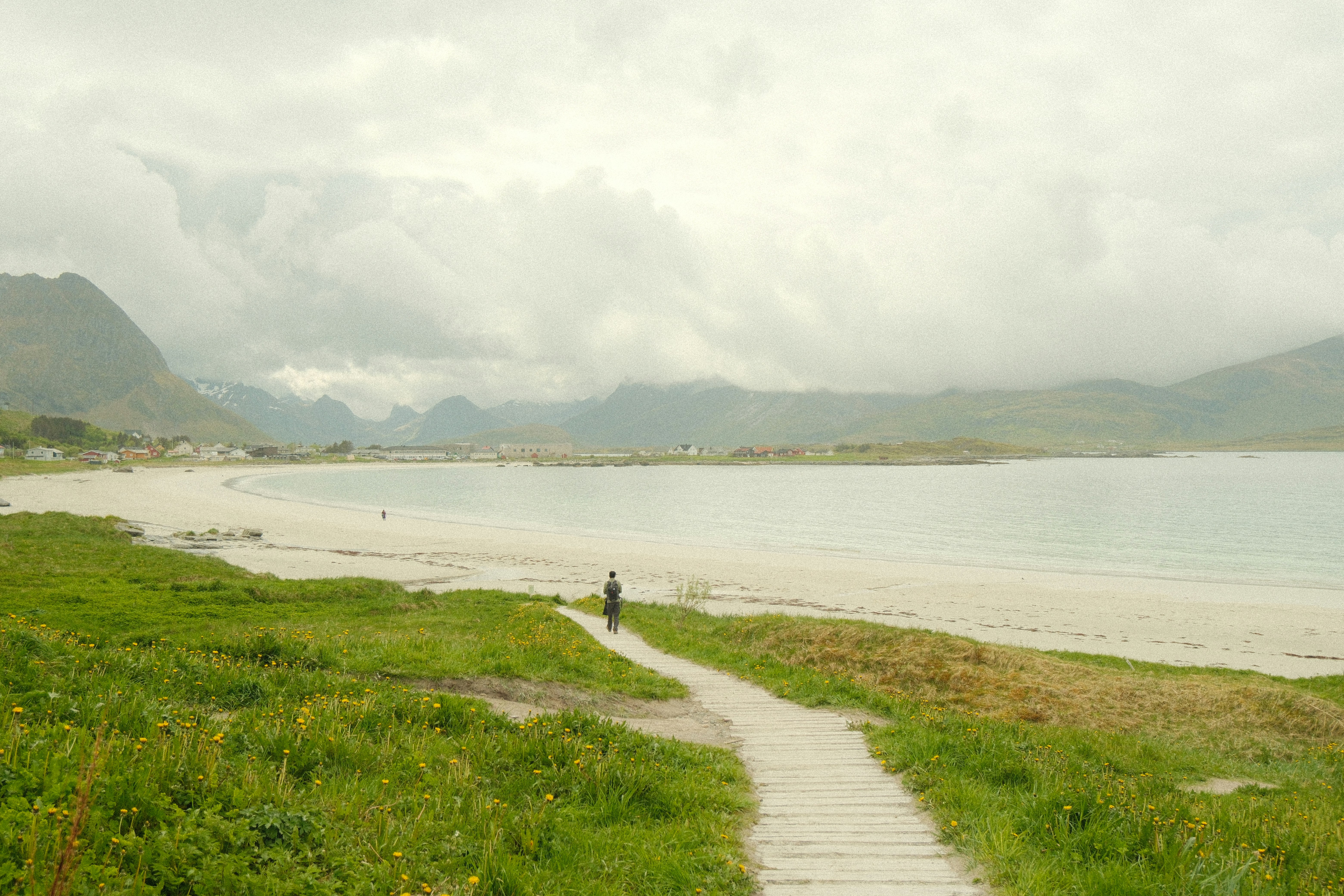 Grassy path leading to a peaceful beach and distant mountains.