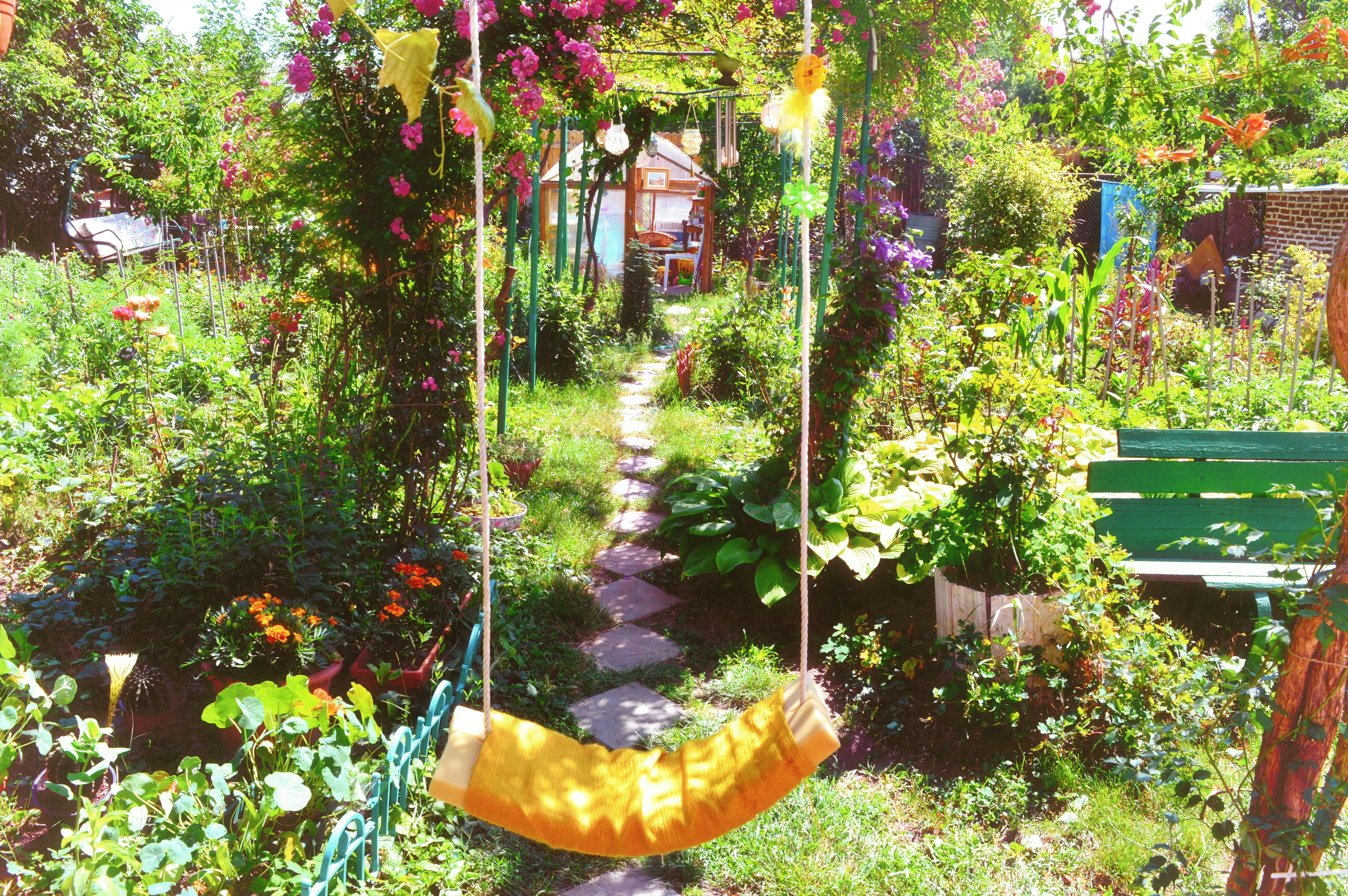 Yellow swing in overgrown garden with winding path