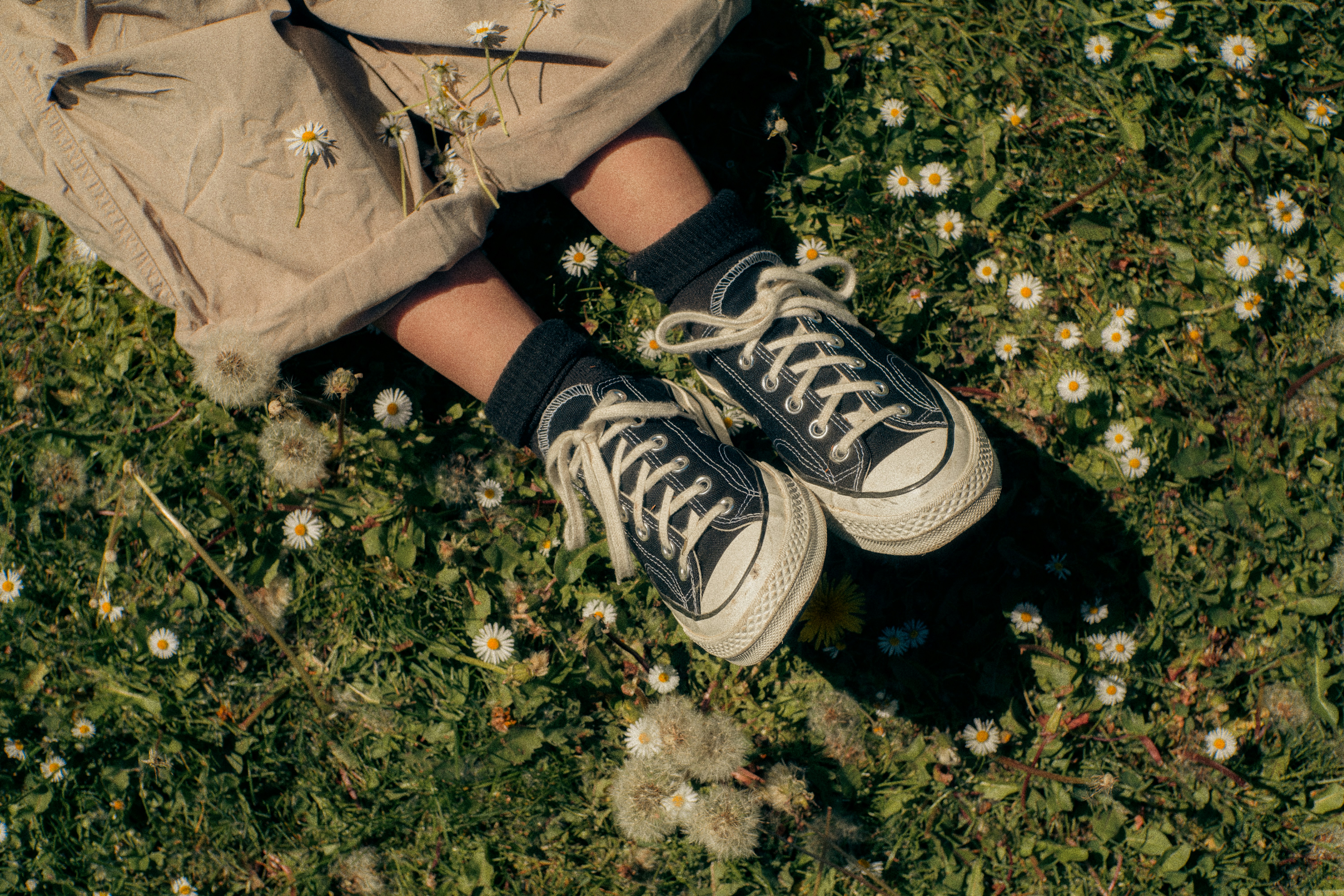 Legs wearing sneakers on green grass with dandelions