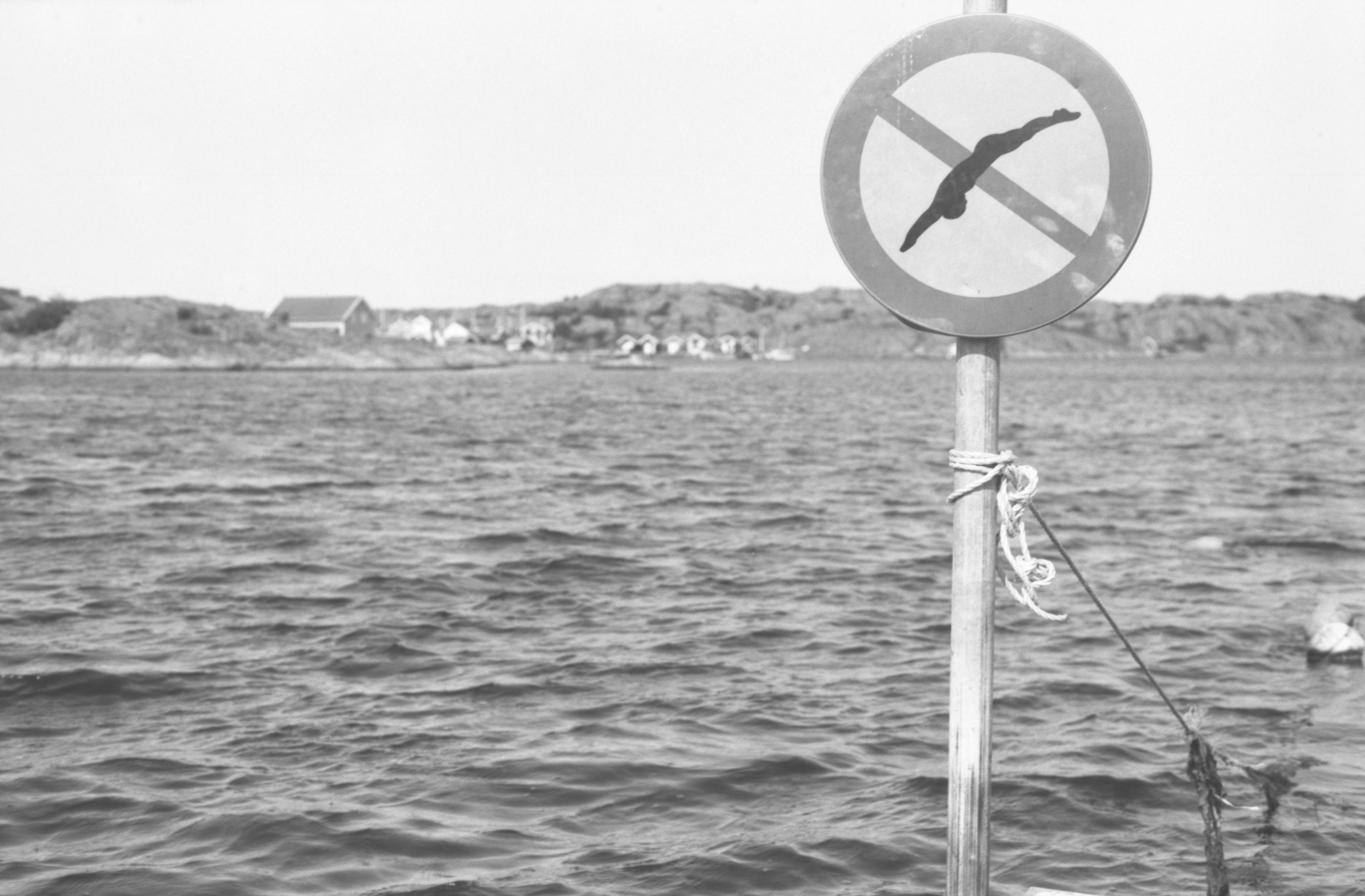 Cartello bianco e nero "vietato immersioni" vicino all'acqua che si increspa.