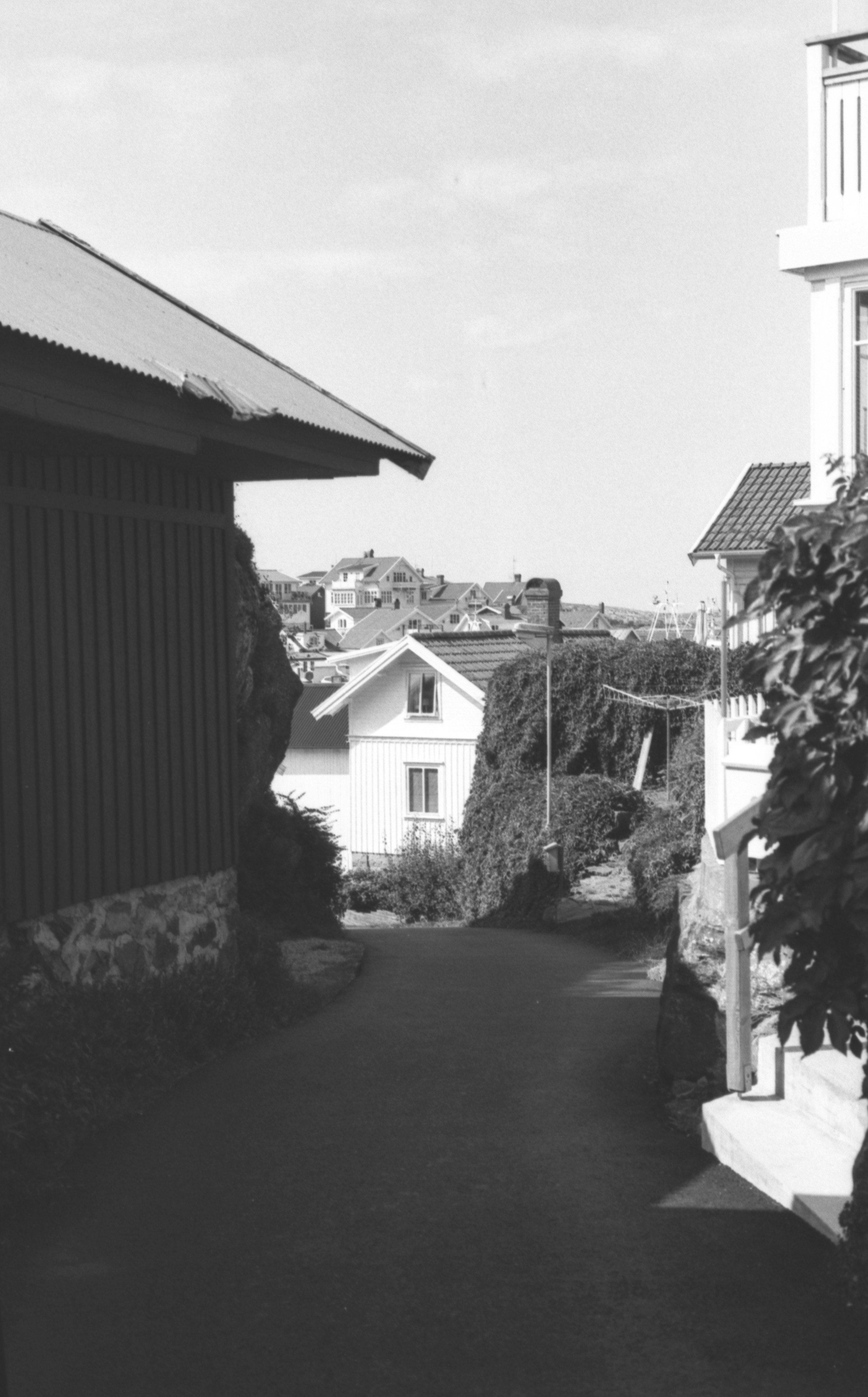 Vista in bianco e nero di una strada tortuosa con case.
