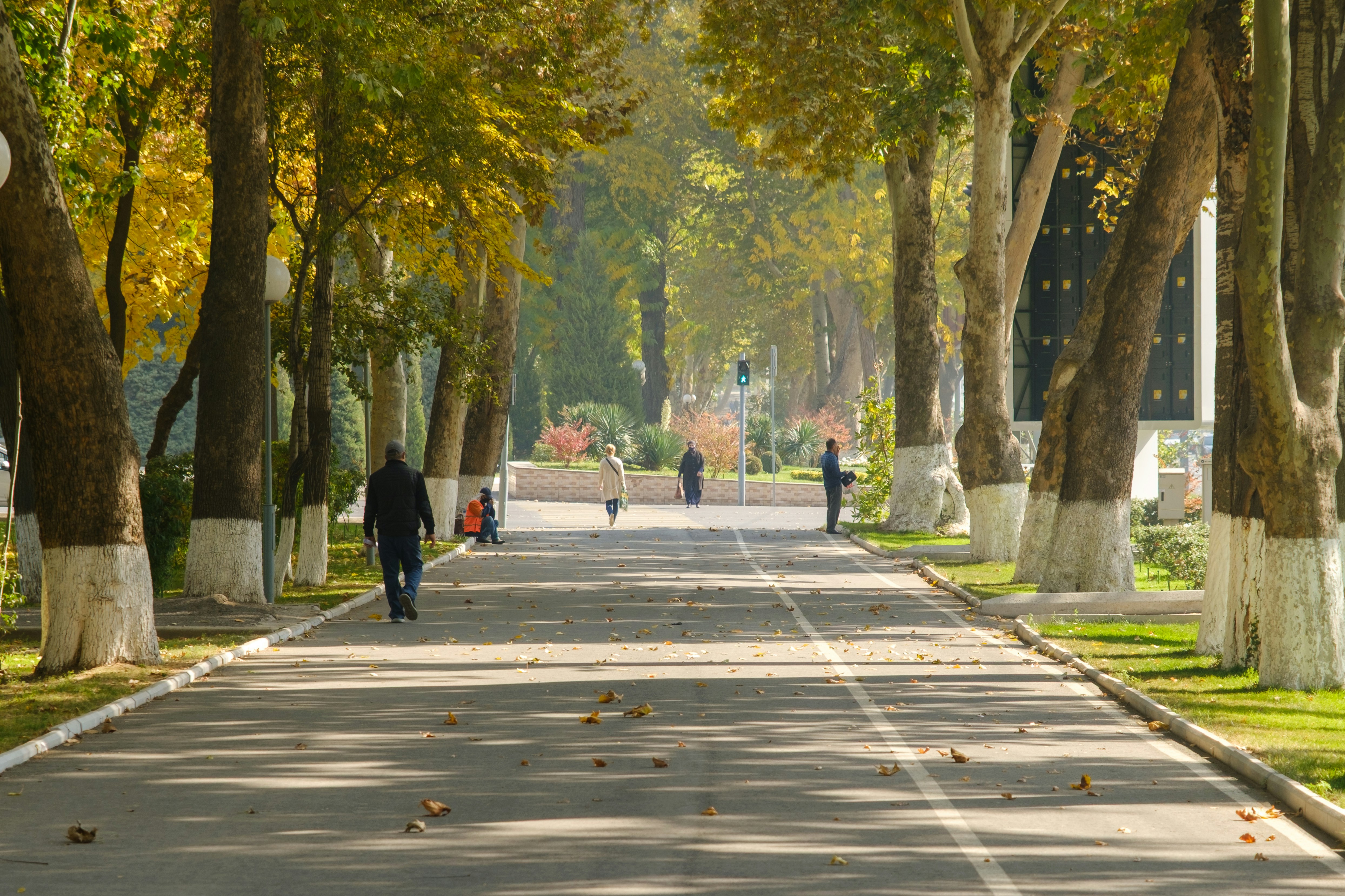 Autumn trees line a sunny park path with distant walkers