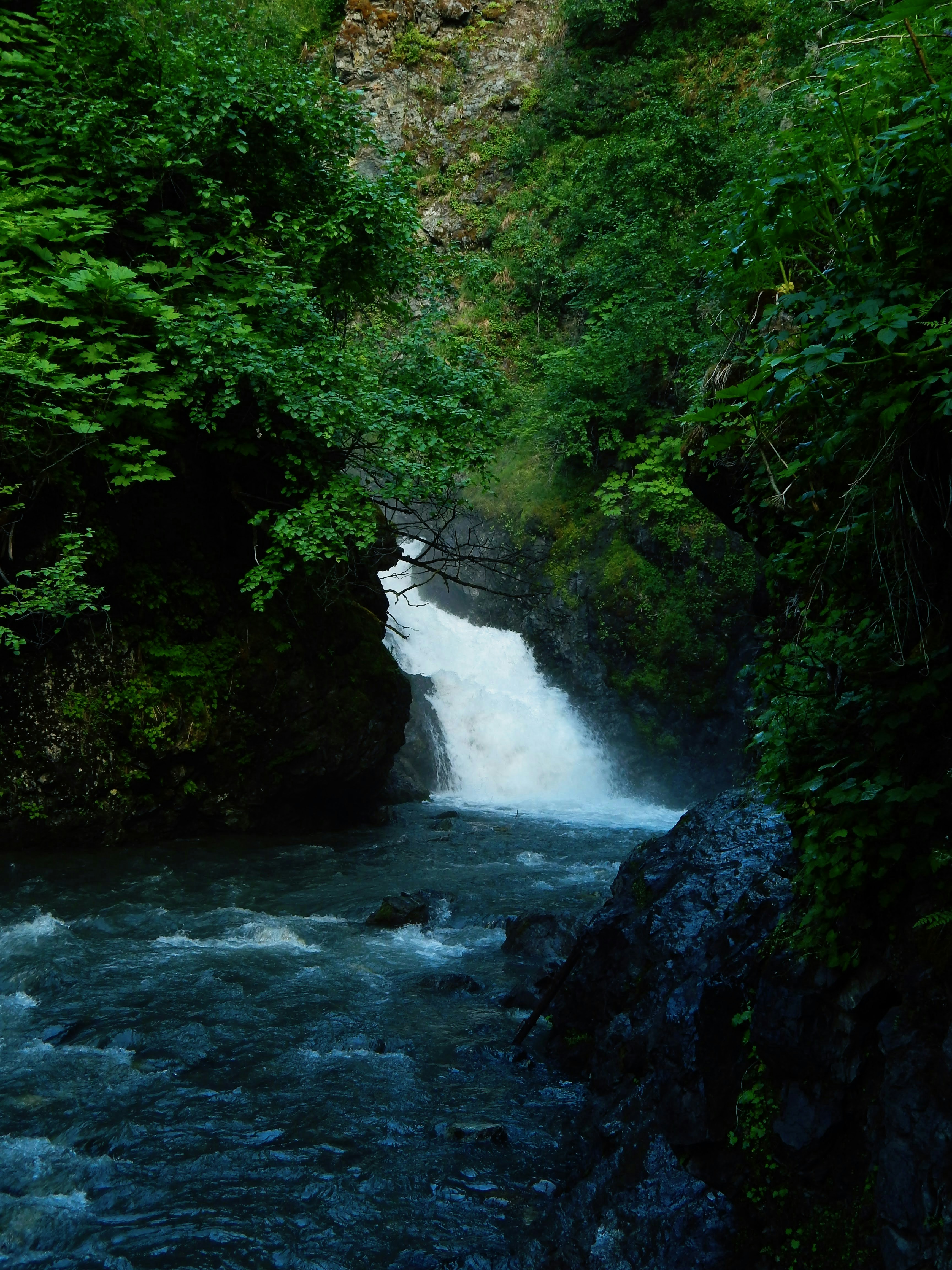 Waterfall flows into a river amidst dense green forest.