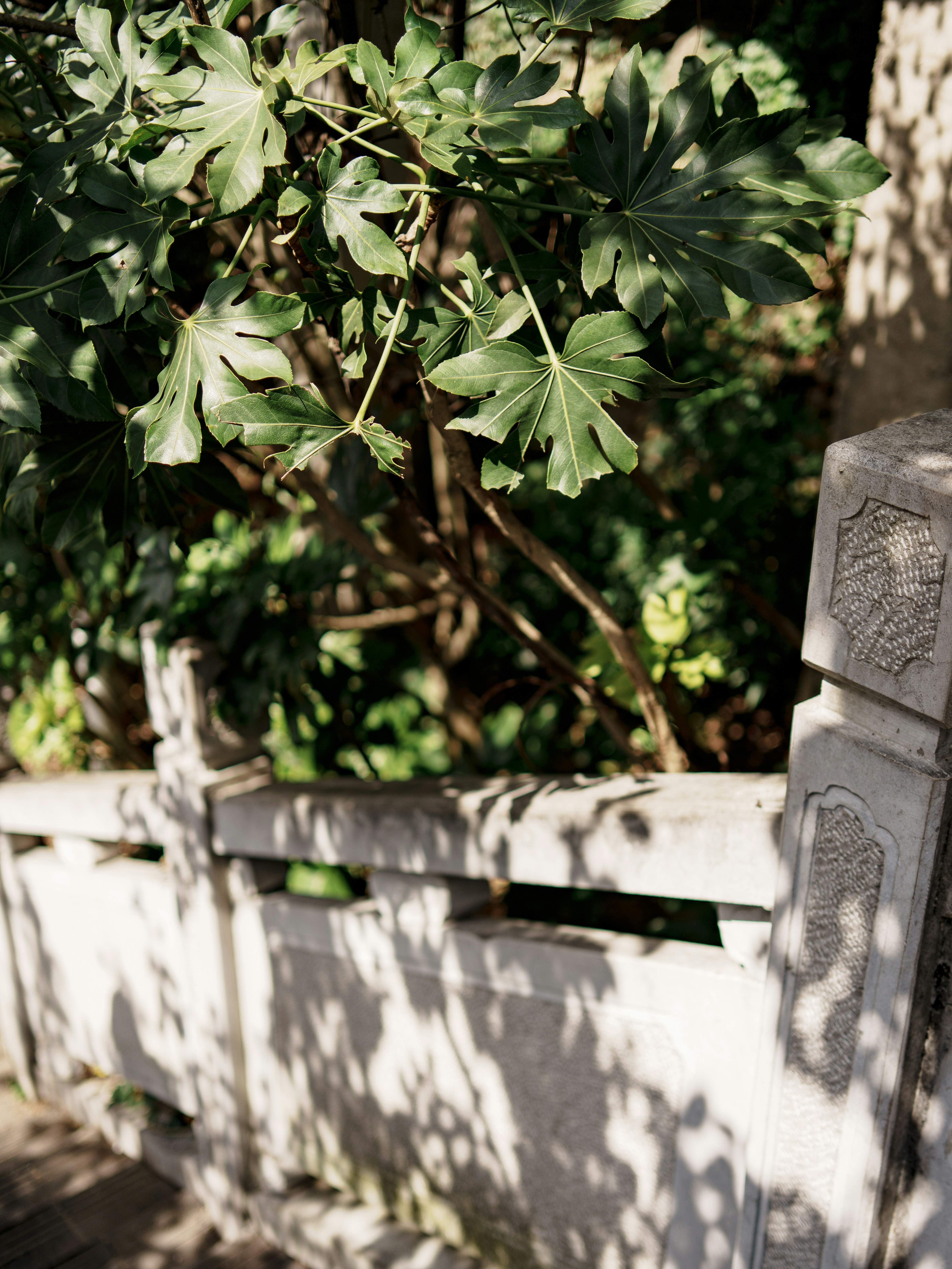 A stone railing with intricate carvings and green foliage.