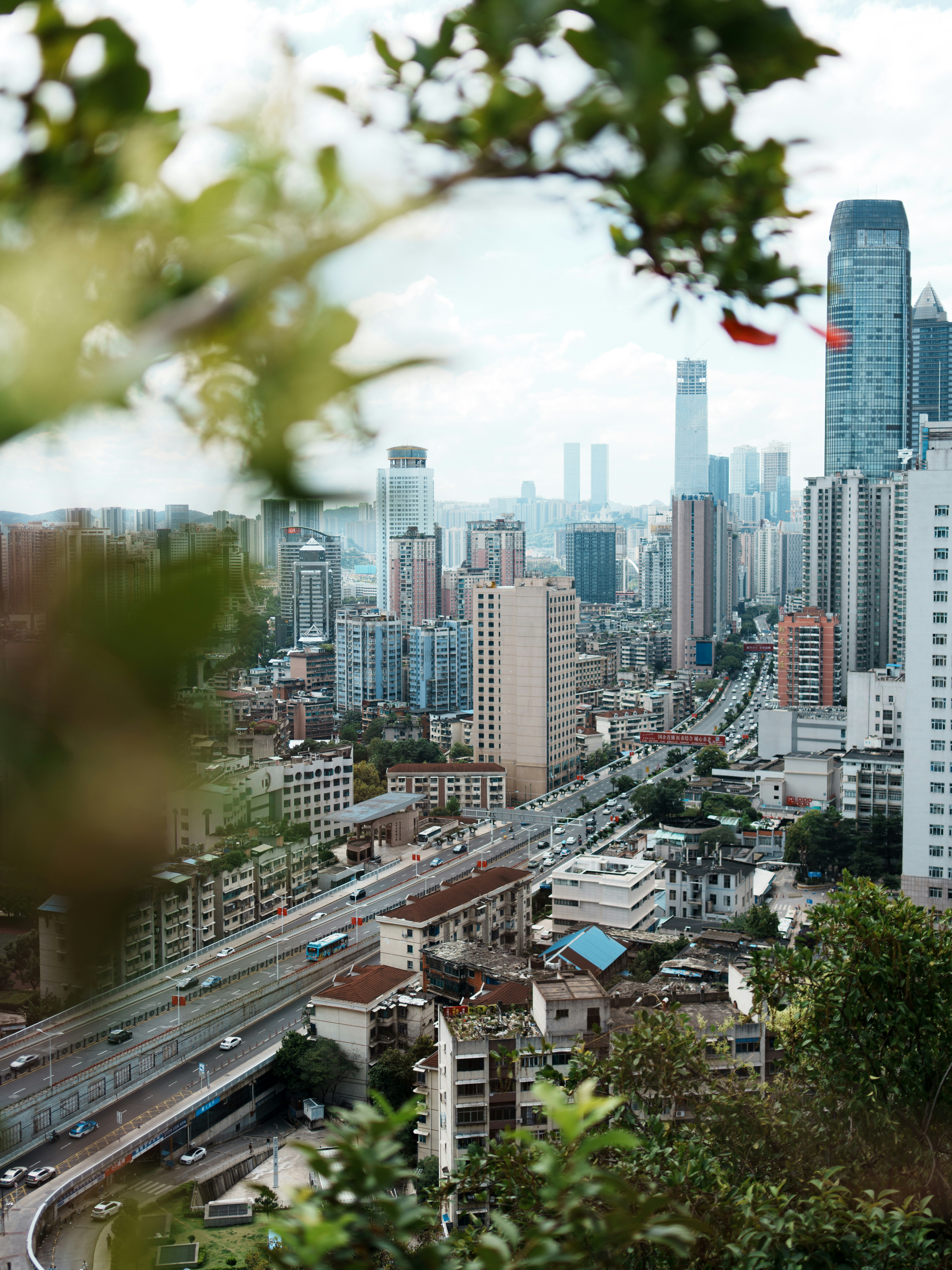 City skyline with highway and buildings framed by green foliage.