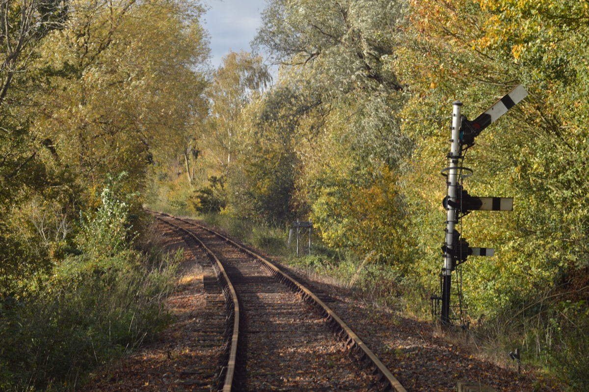 Rusty single track curving left through dense autumn woodland with an old semaphore signal beside the line