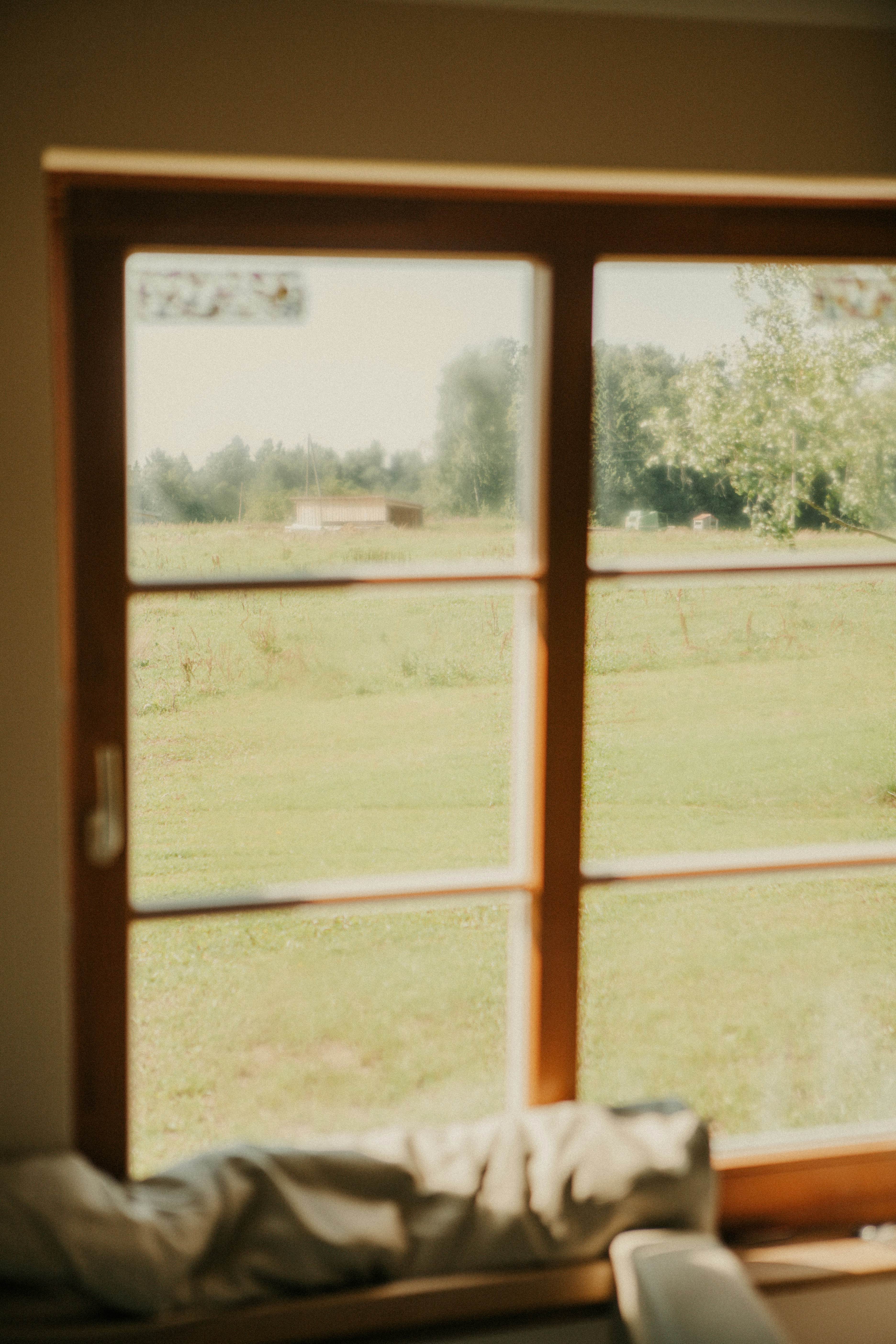 A blurry window view of a green field and trees.