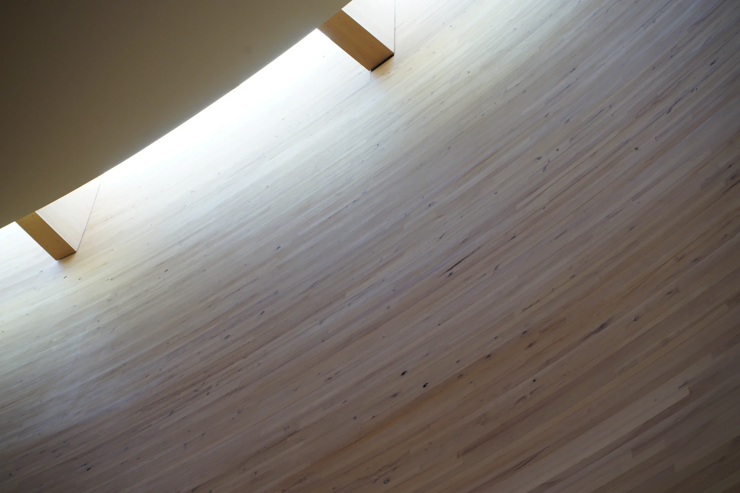 Daylight raking along the boards of a curved timber wall