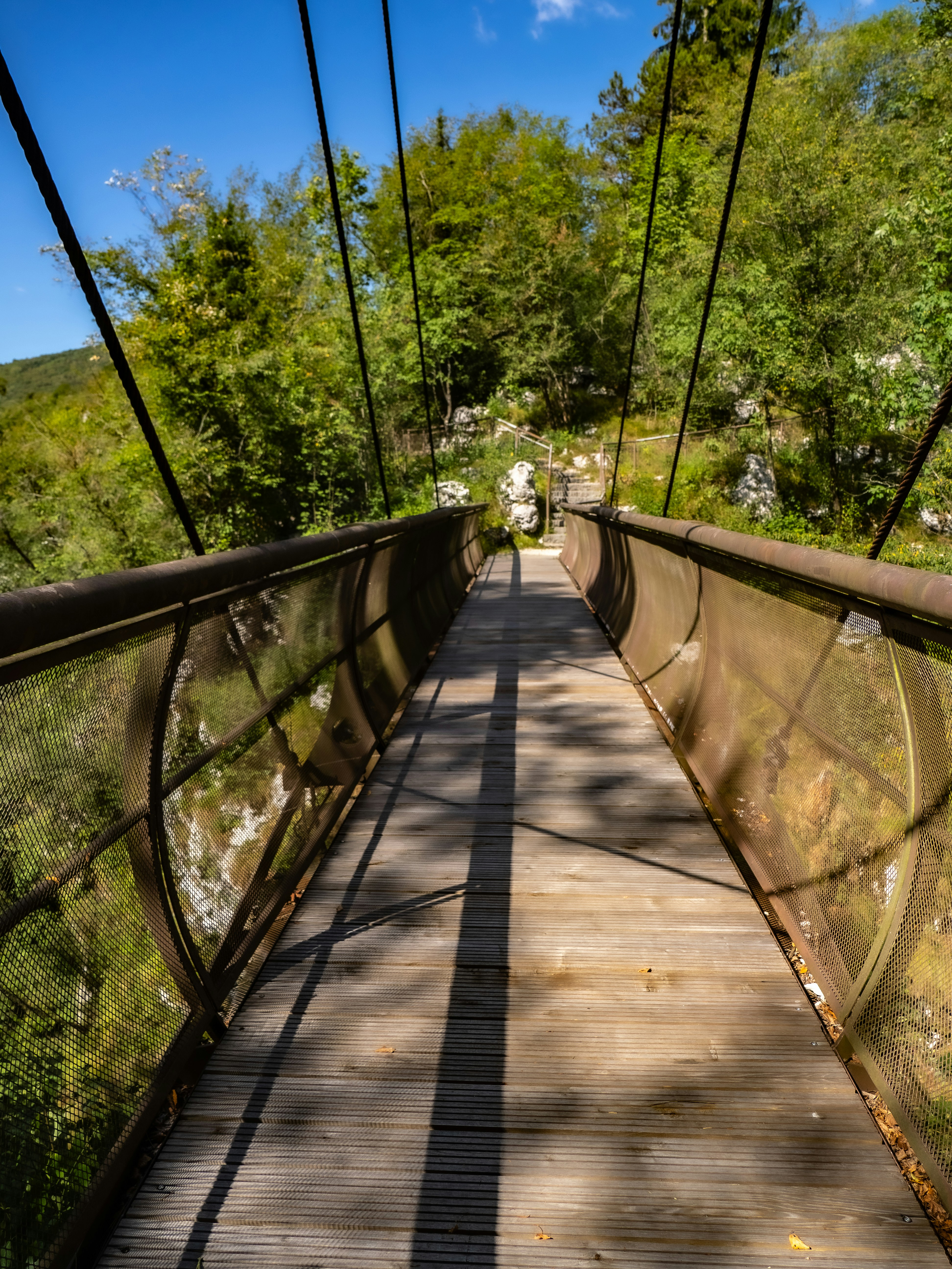 Eine hölzerne Hängebrücke in einer sonnigen, grünen Waldlandschaft.