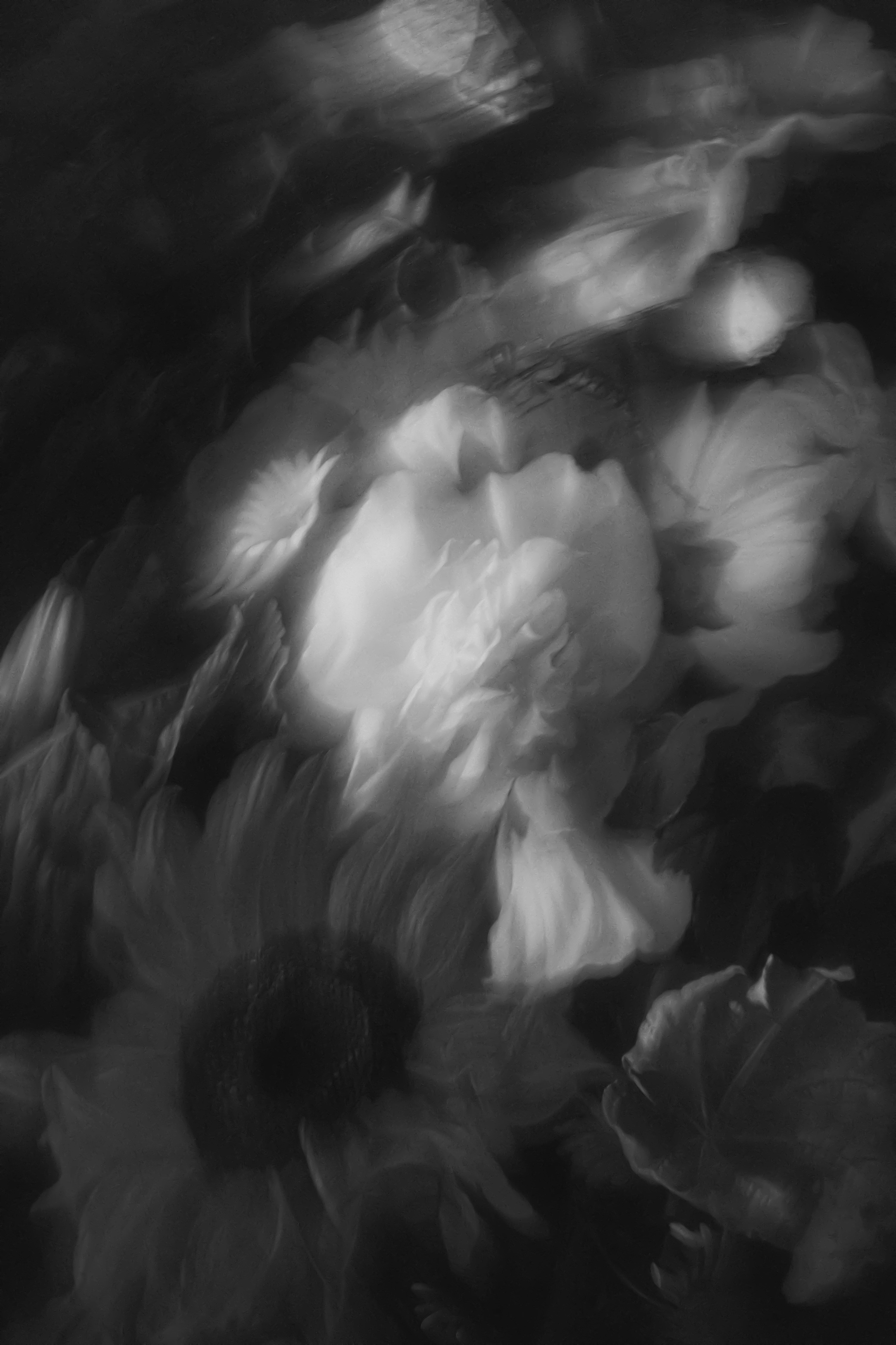 Blurred black and white flowers with soft, dreamy light