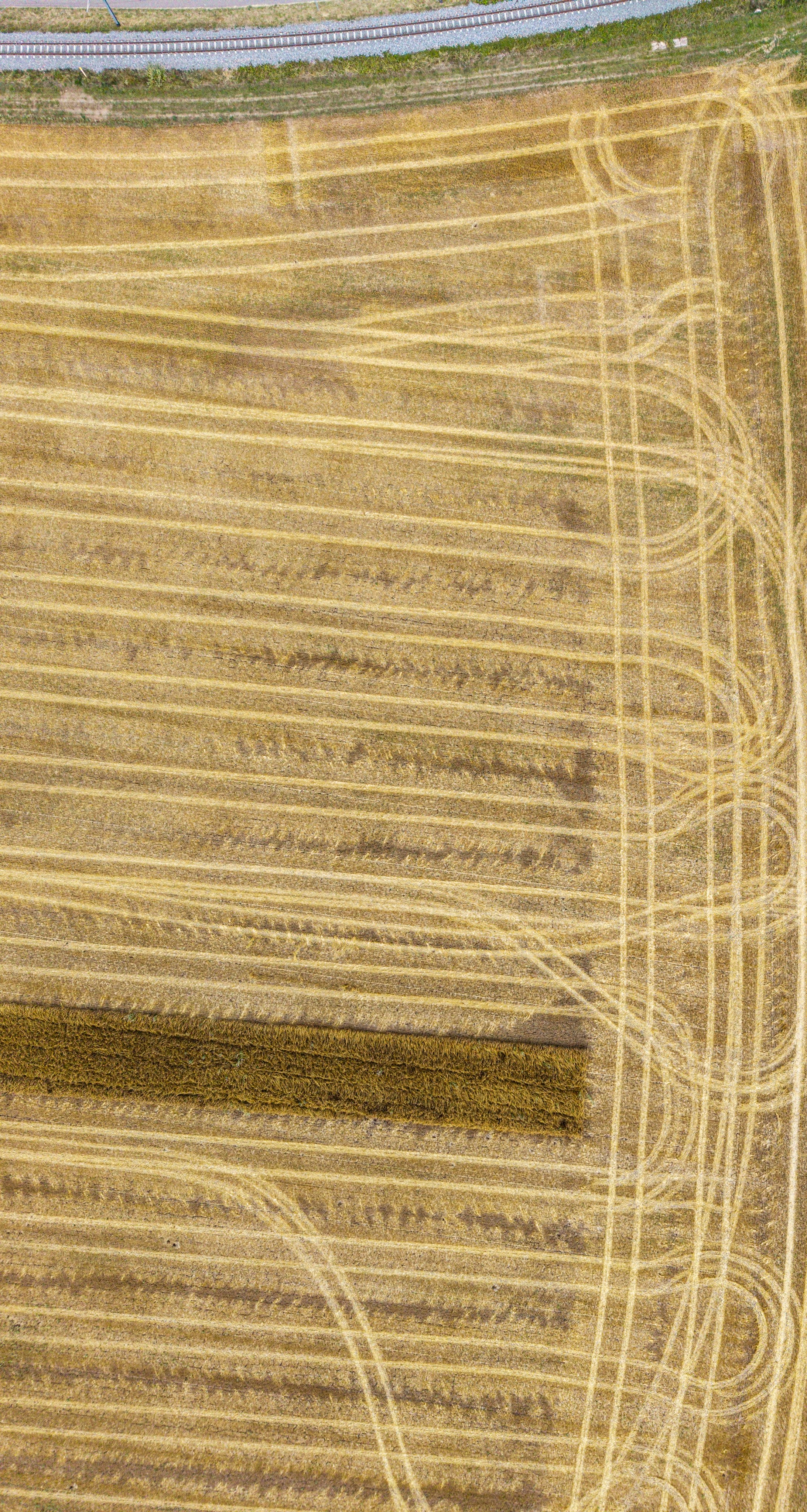 Harvested golden field showing crop patterns near railway tracks.